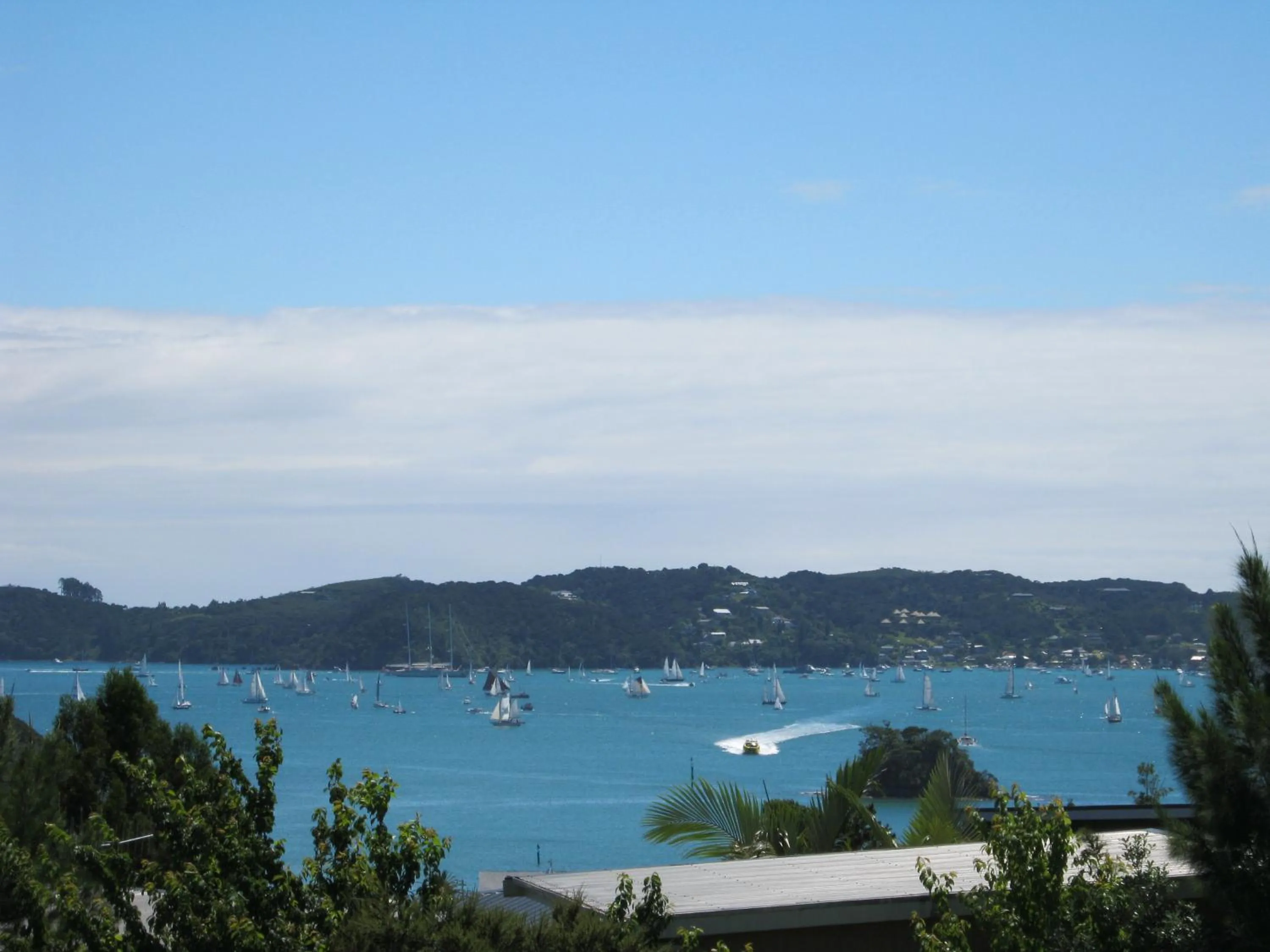 View (from property/room) in Decks of Paihia