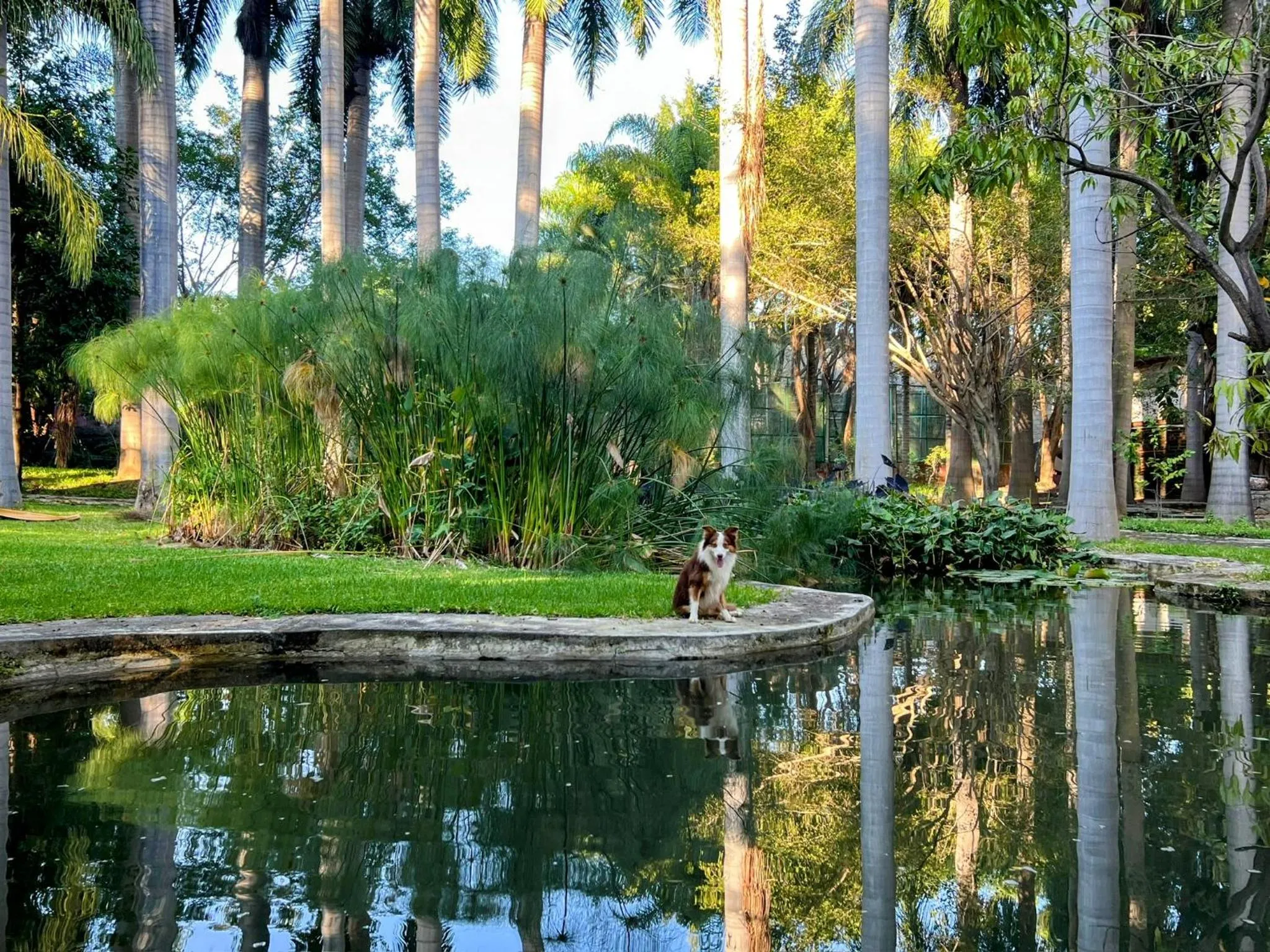 River view in Rancho Agua Salada