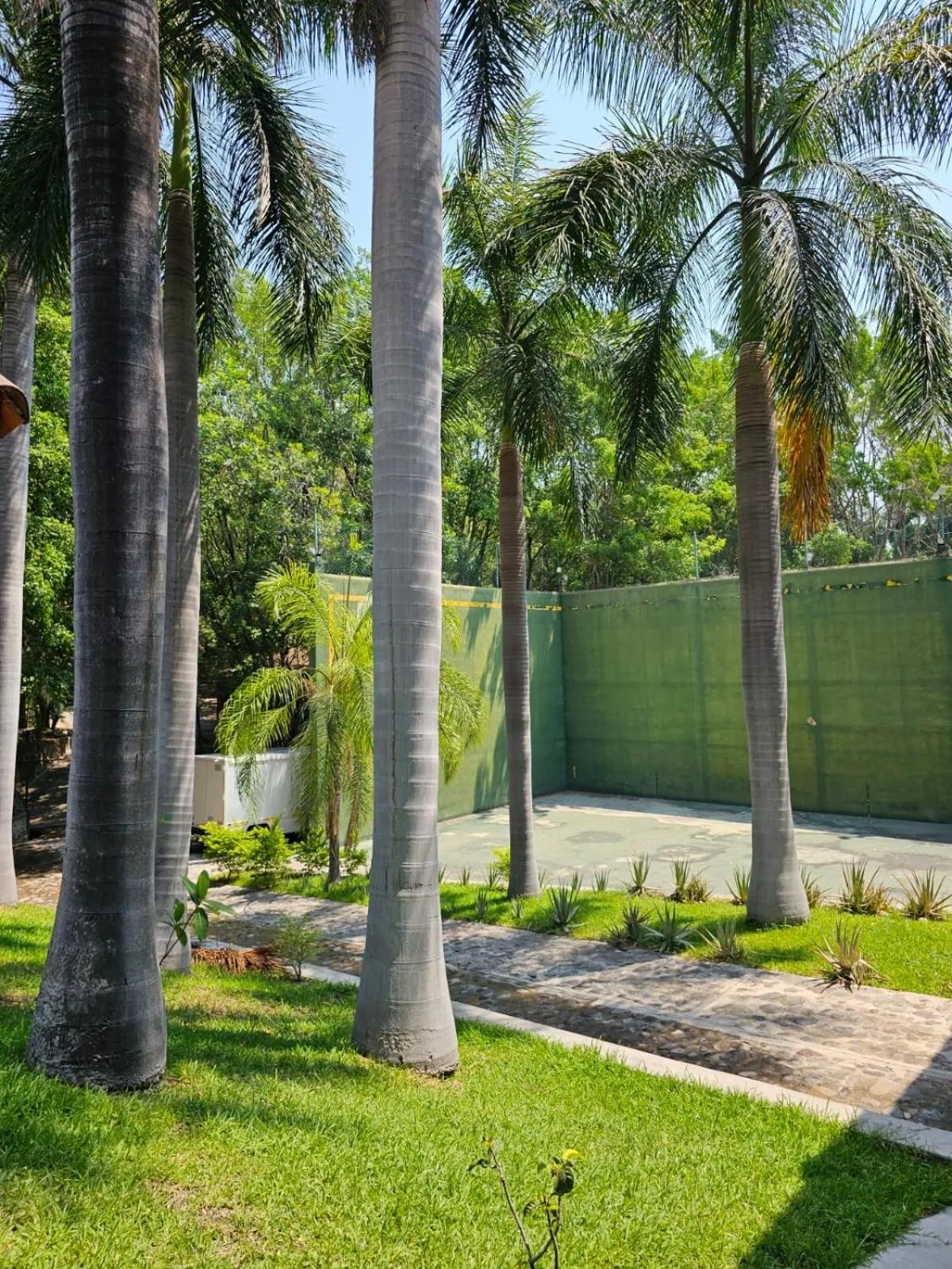 Garden view in Rancho Agua Salada