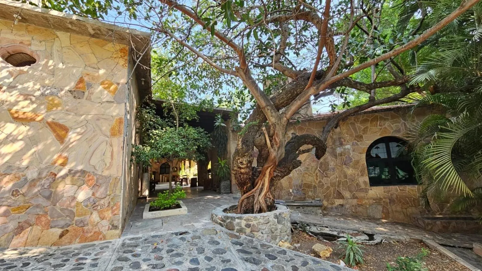 Day in Rancho Agua Salada