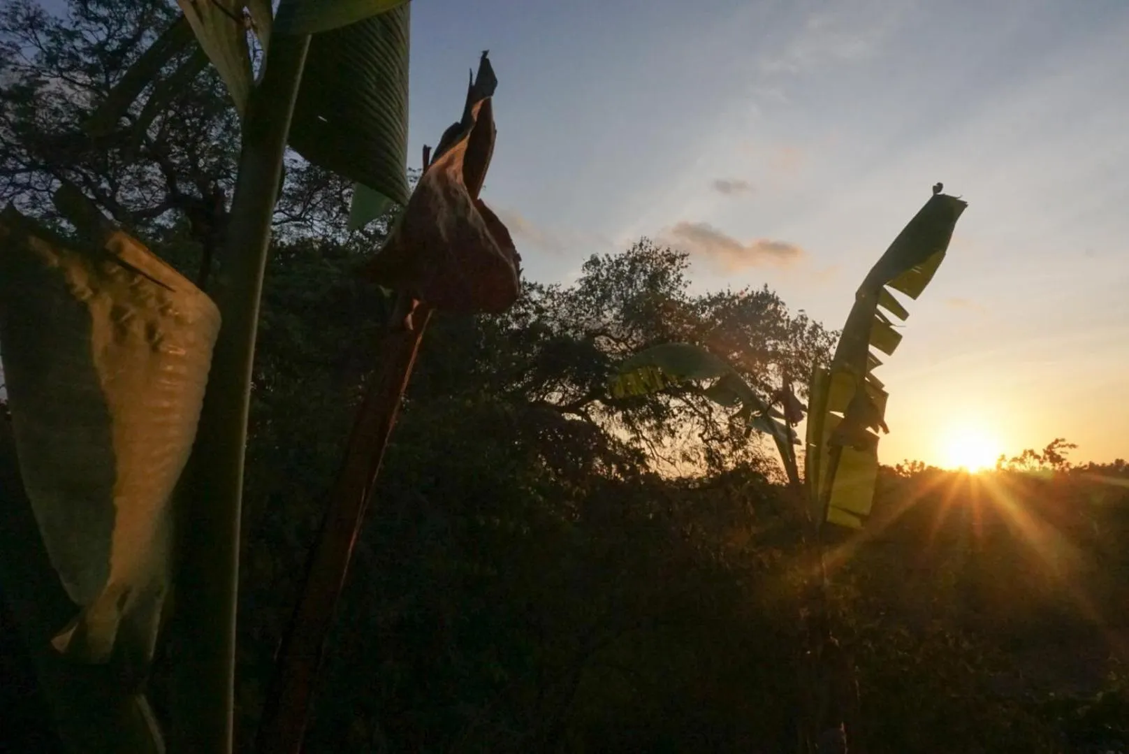 Natural landscape in Kibu Kauh Sunrise Cottage