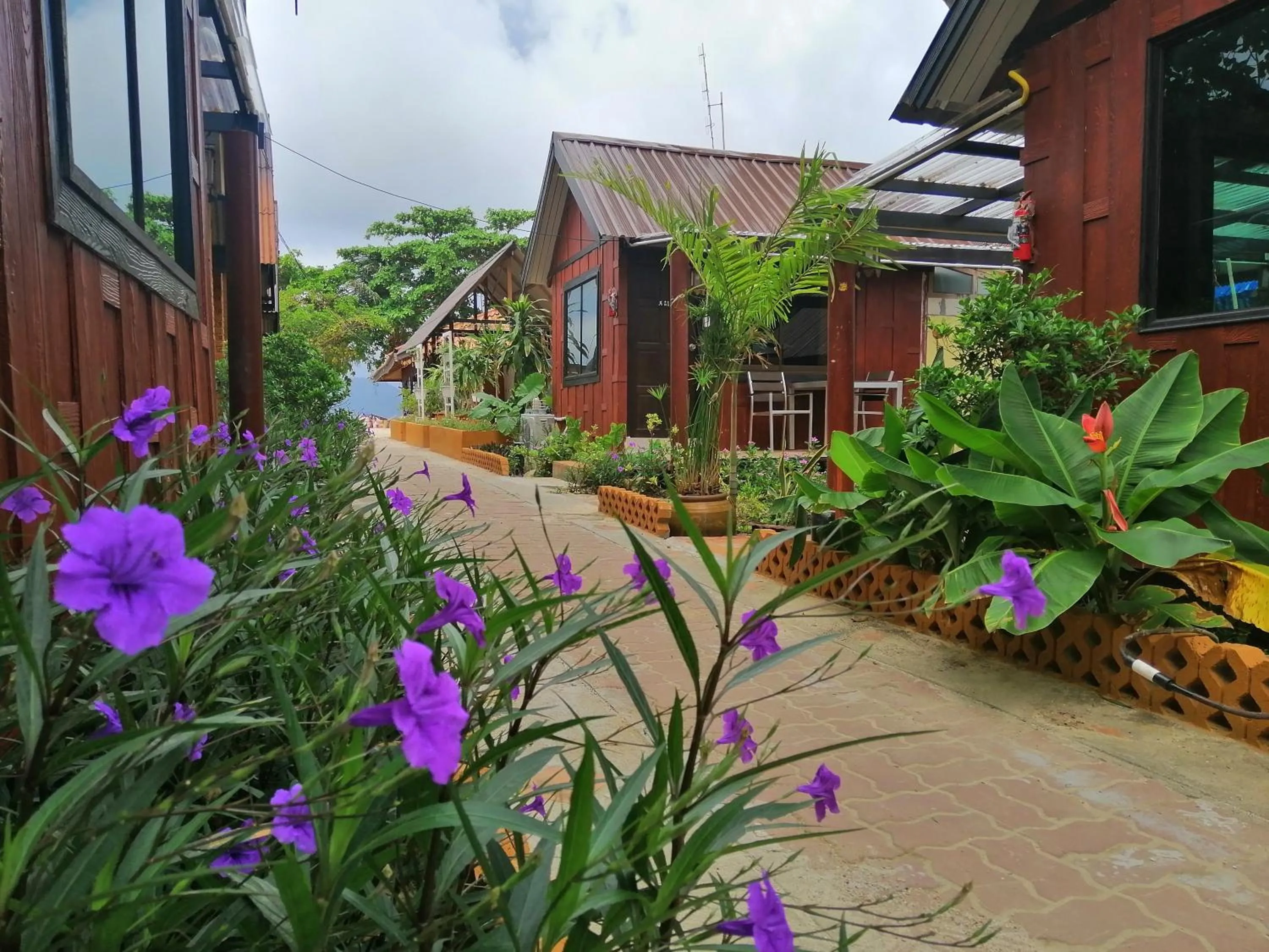 Property building in Phi Phi Long Beach Bungalow ( Had Yao)