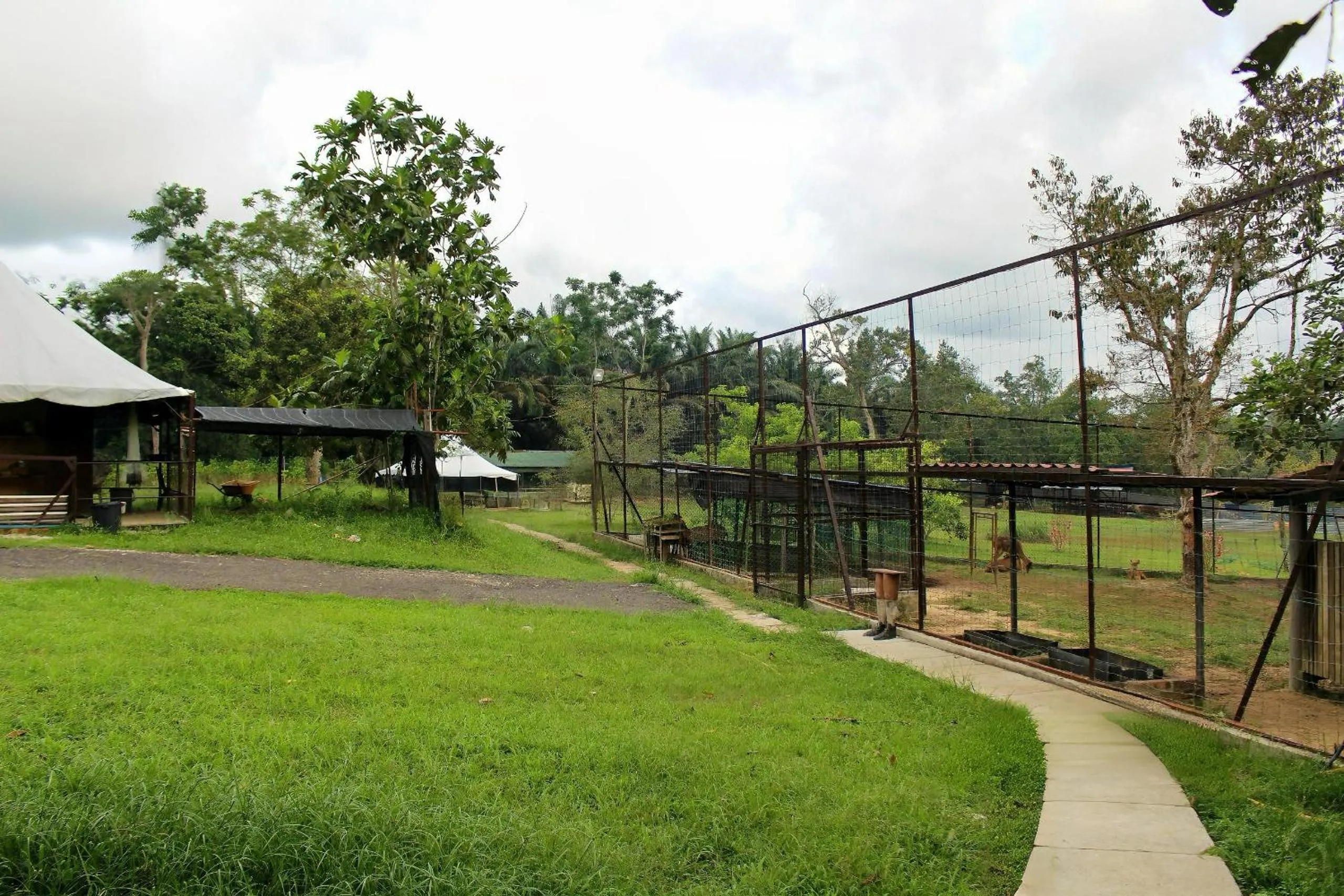 Garden in Savanna Hill Resort