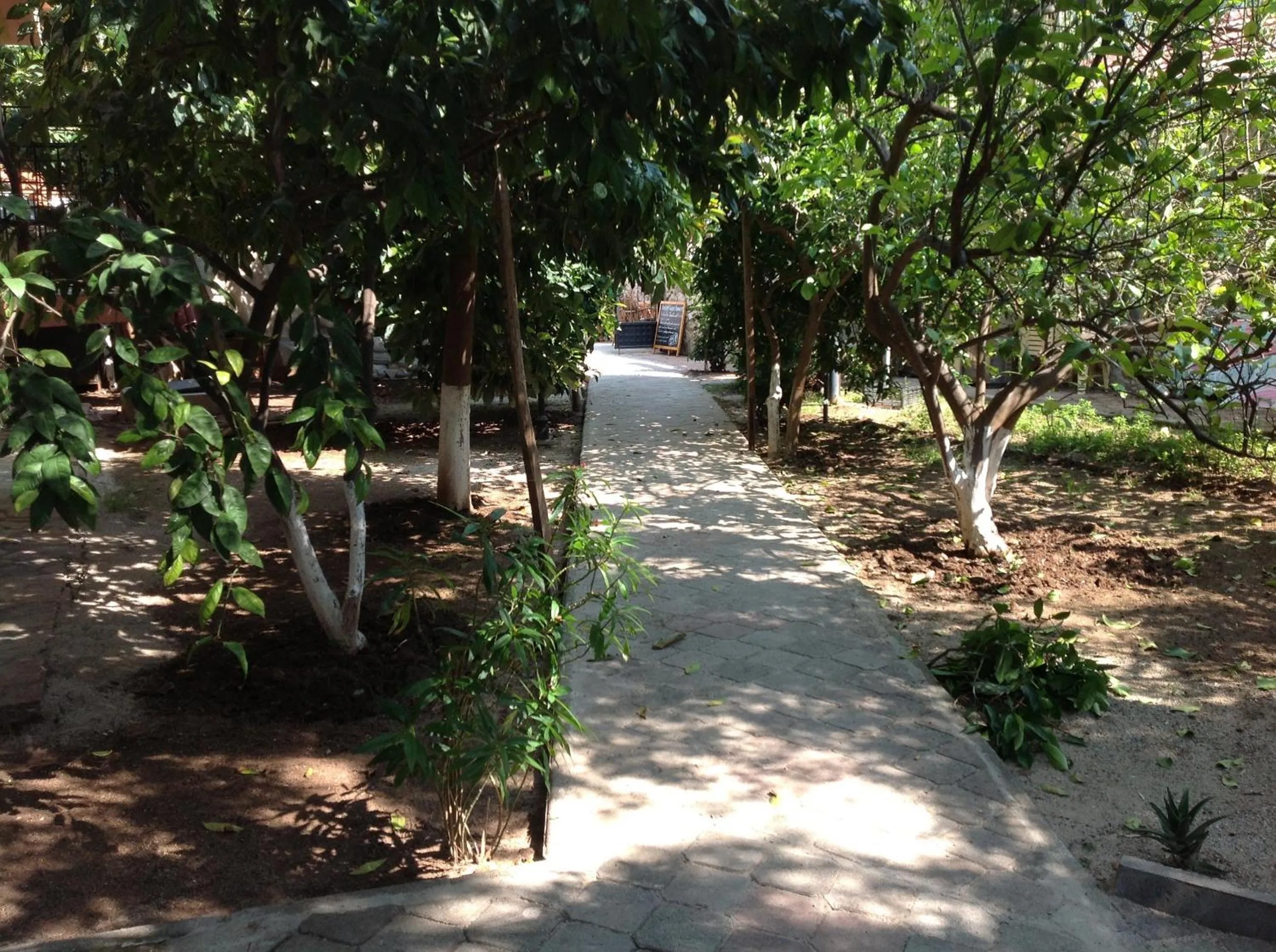 Garden in İlkiz Beach Hotel