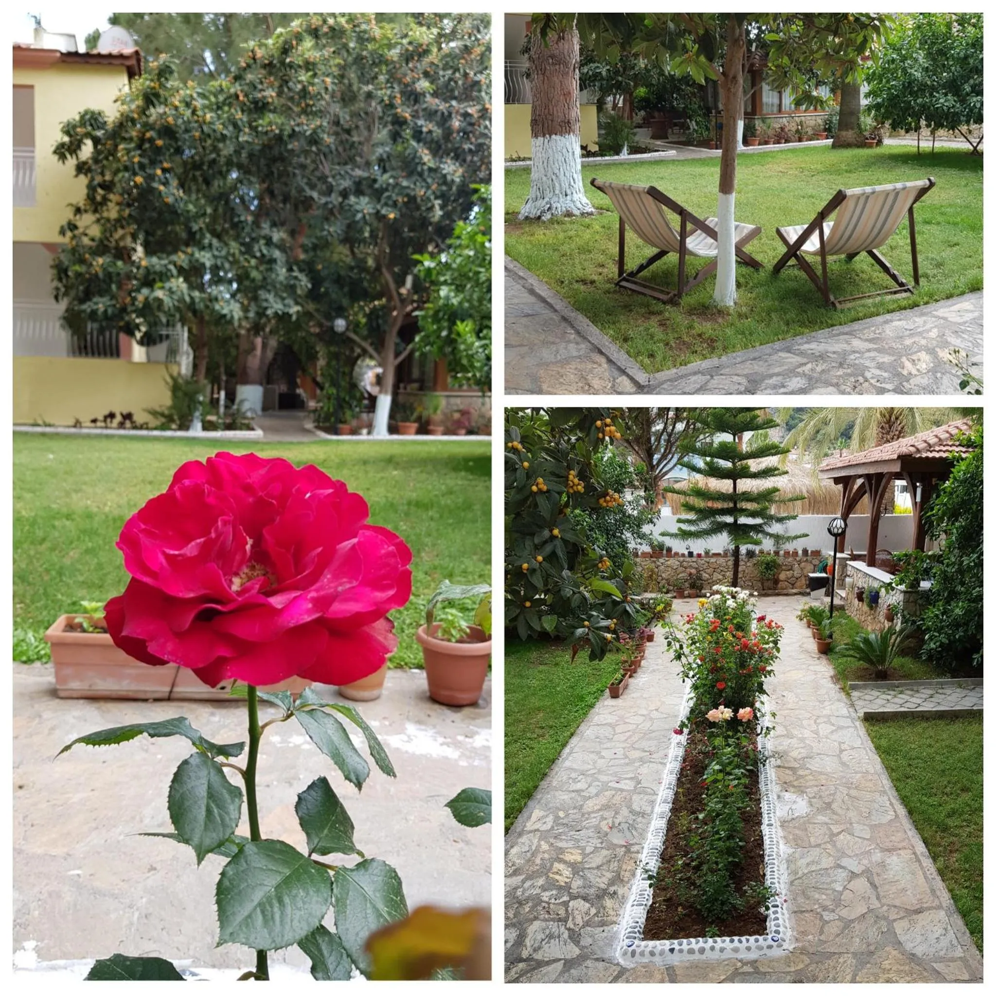 Garden in İlkiz Beach Hotel