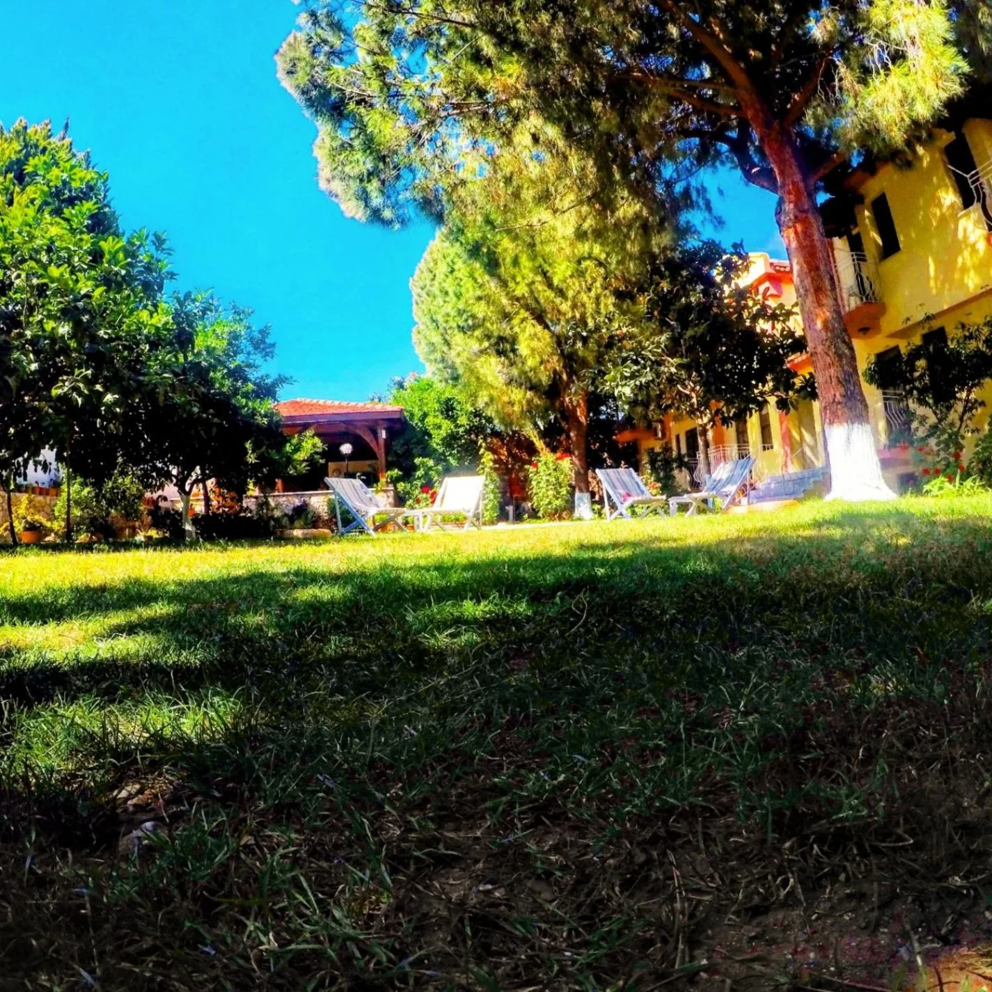 Garden in İlkiz Beach Hotel