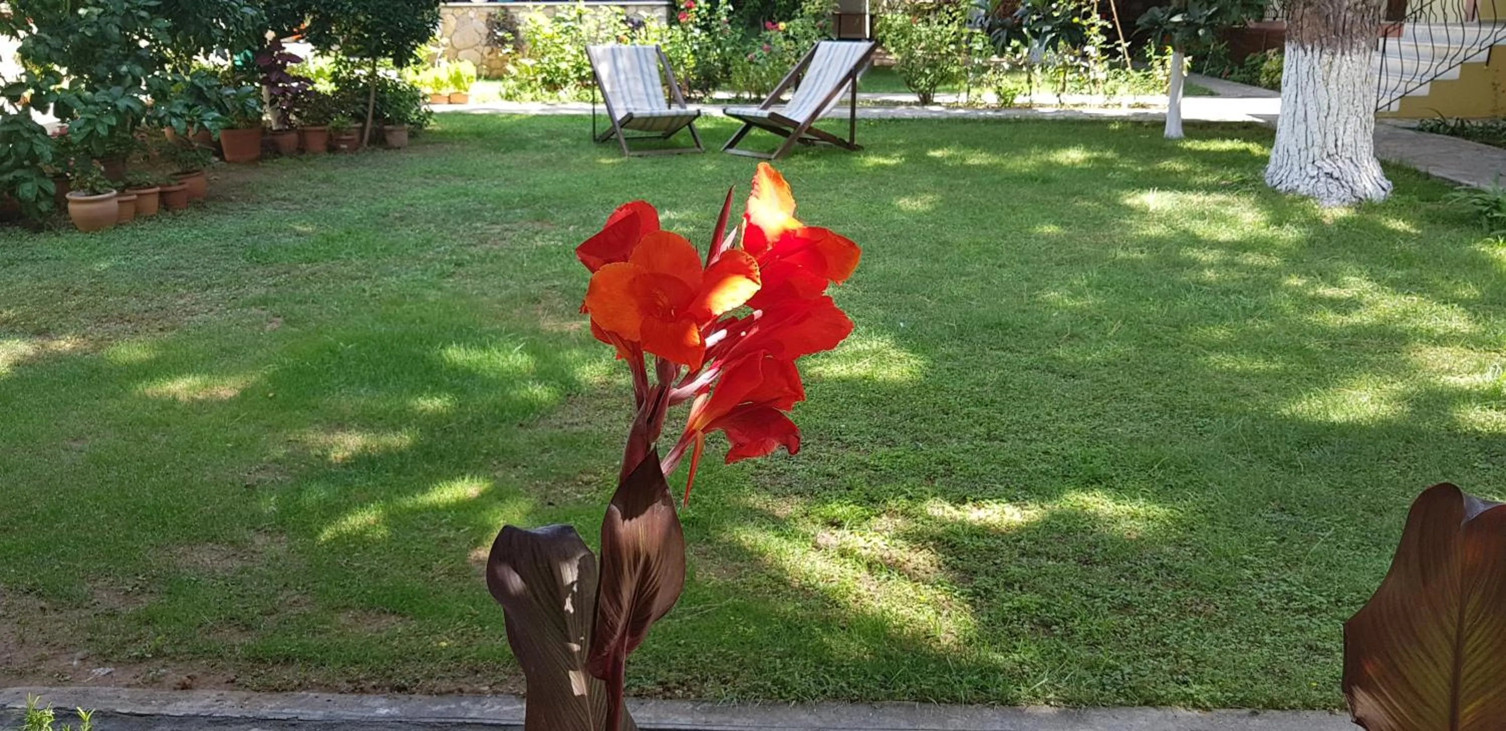 Garden view in İlkiz Beach Hotel