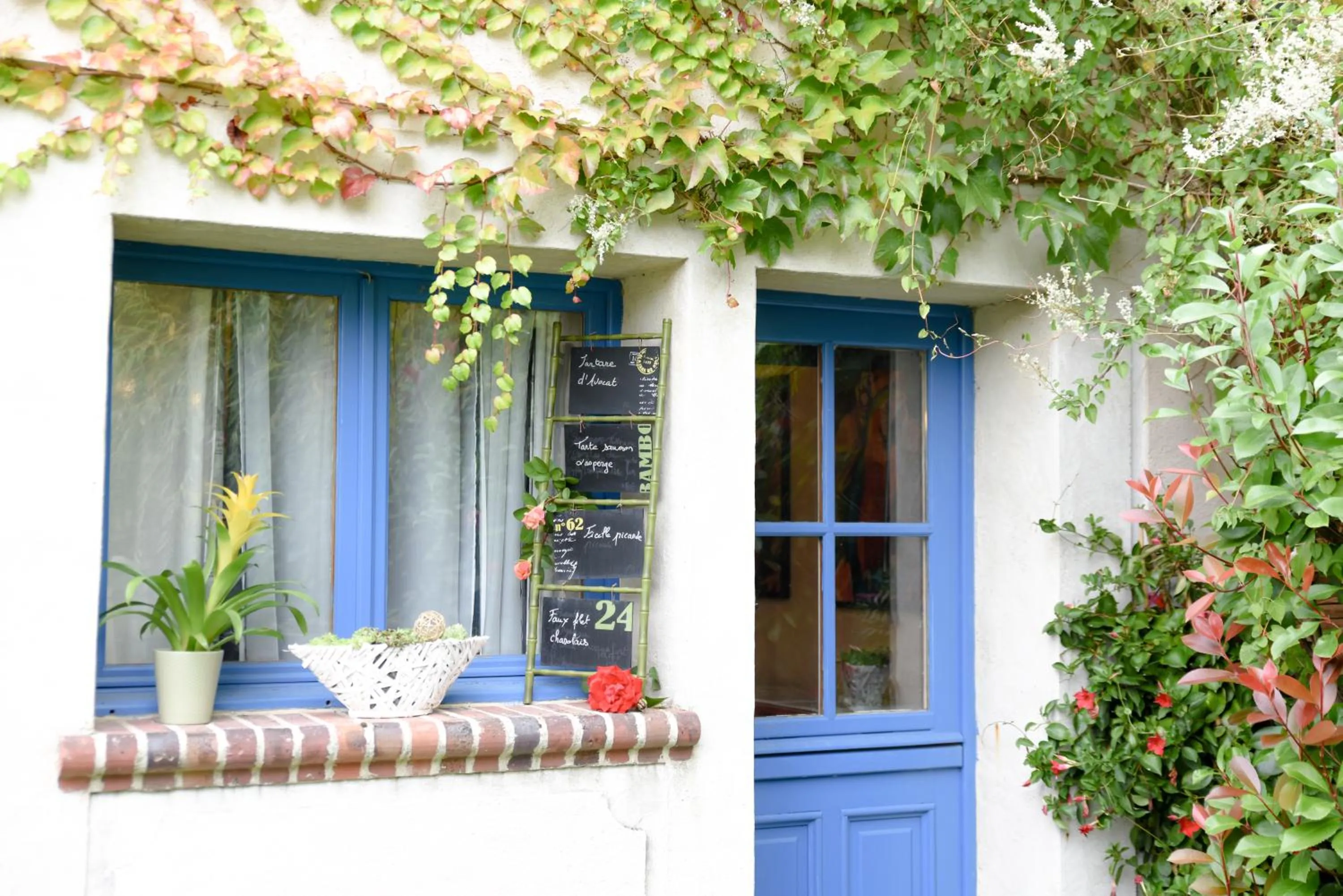 Les Roses de Montherlant