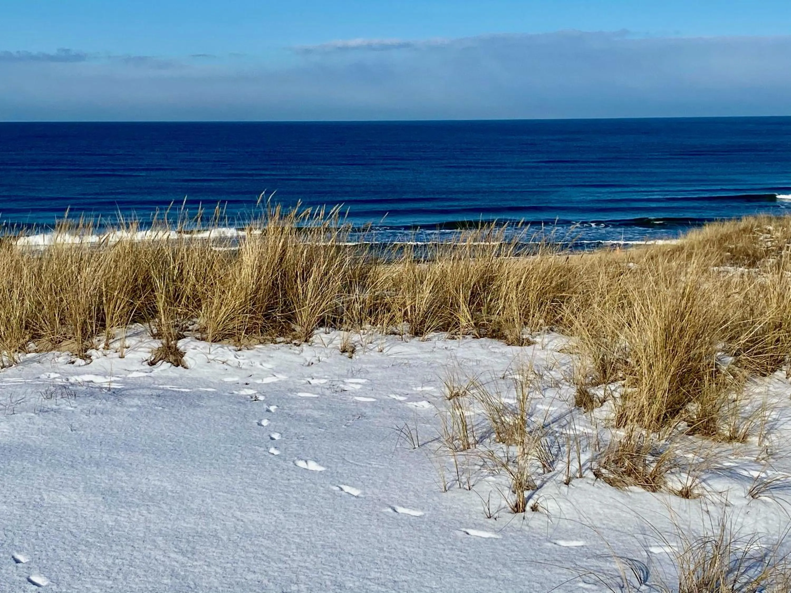 Natural landscape in Apartamenty Marina z widokiem na morze