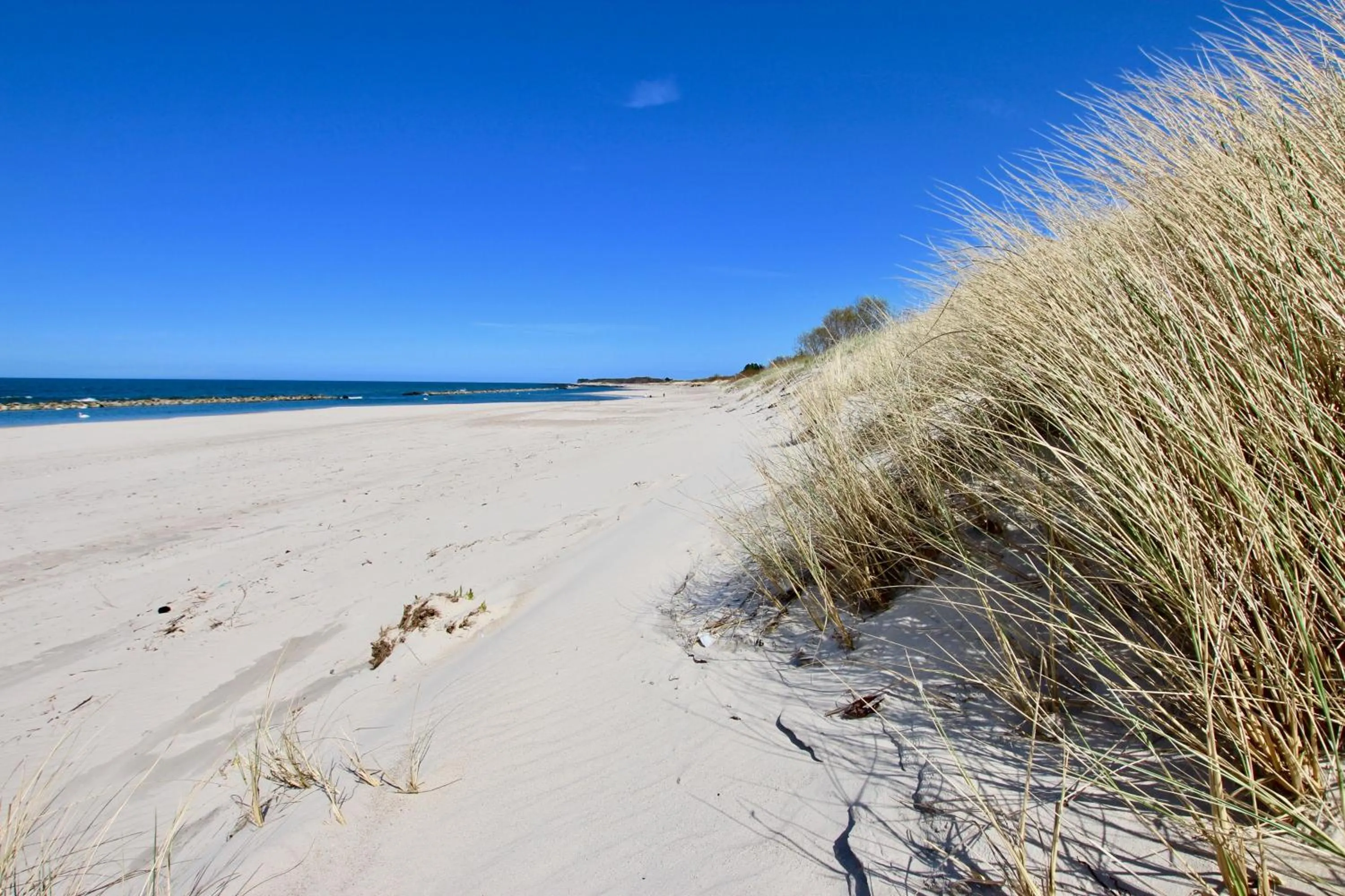 Natural landscape in Apartamenty Marina z widokiem na morze