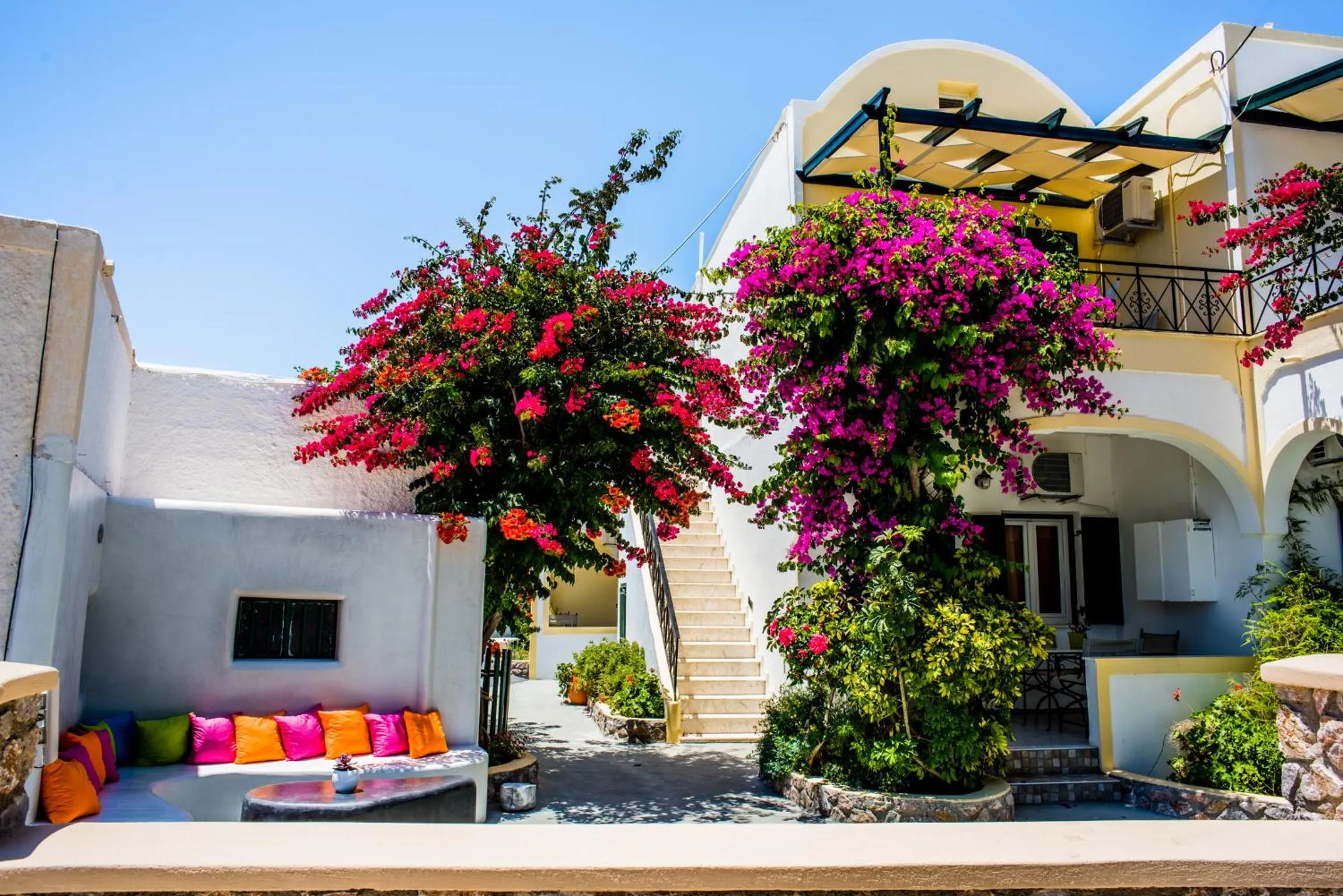 Garden in Studio Paul's