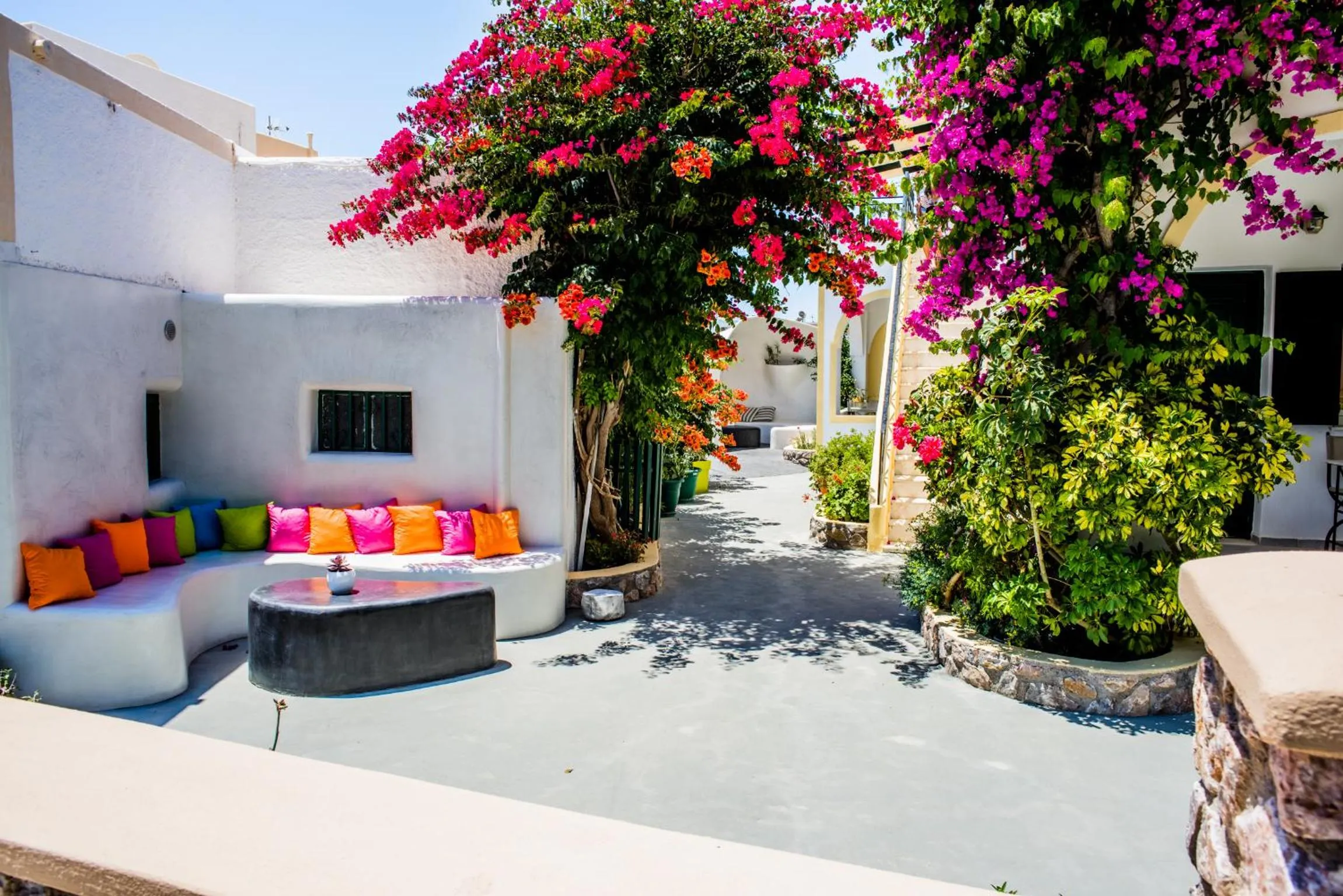 Garden in Studio Paul's