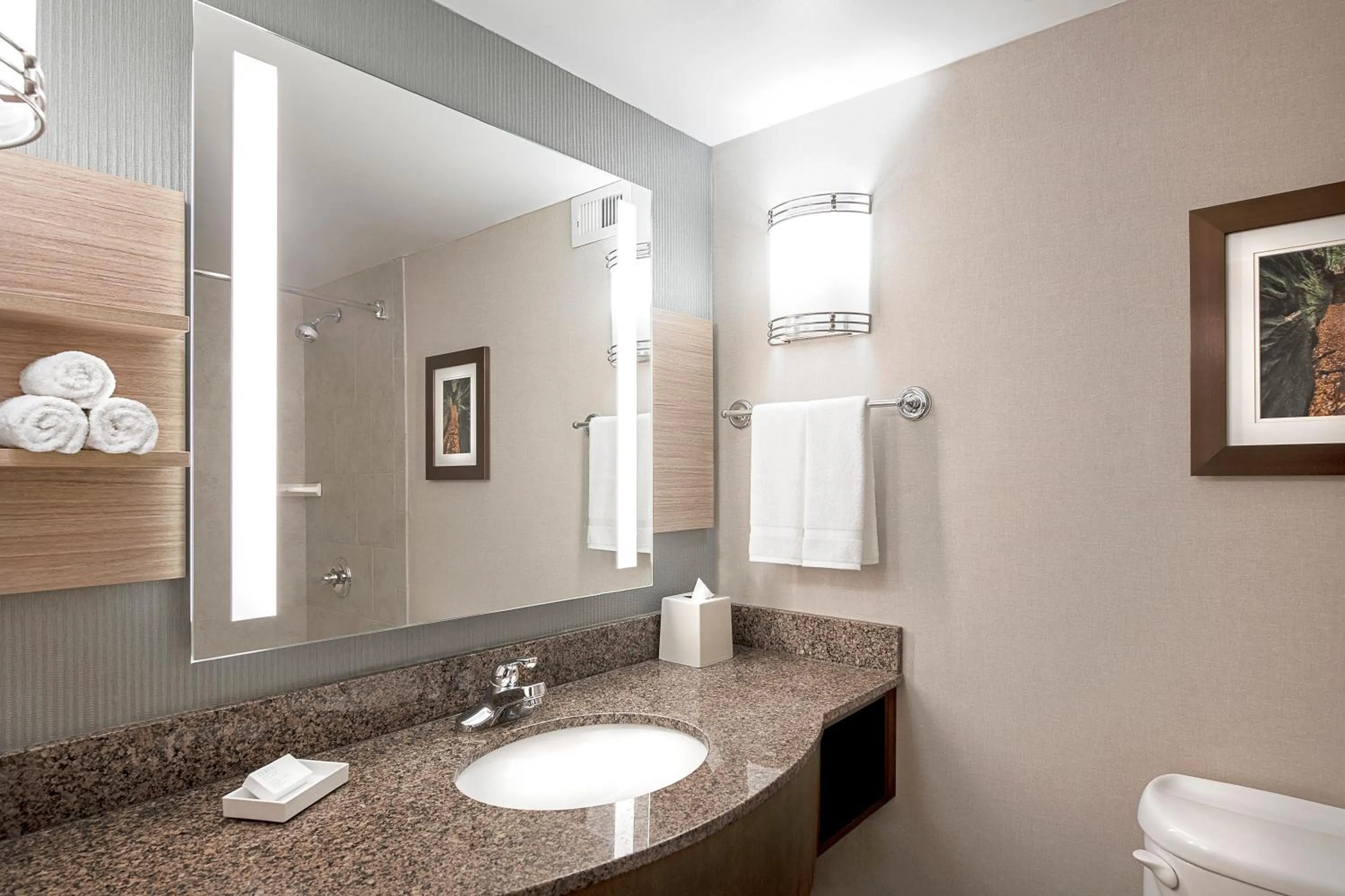 Bathroom in Hilton Garden Inn Cleveland Downtown
