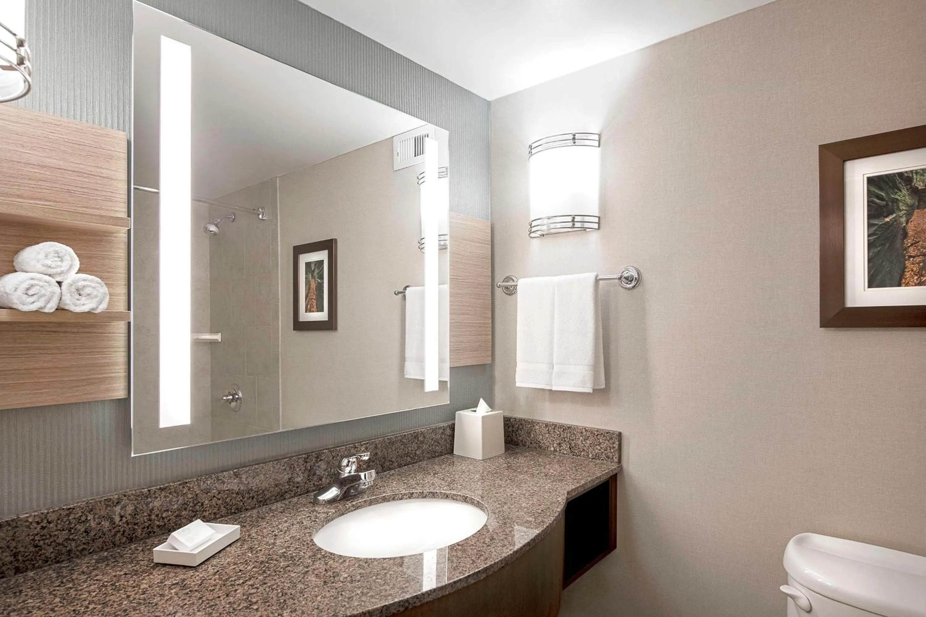 Bathroom in Hilton Garden Inn Cleveland Downtown