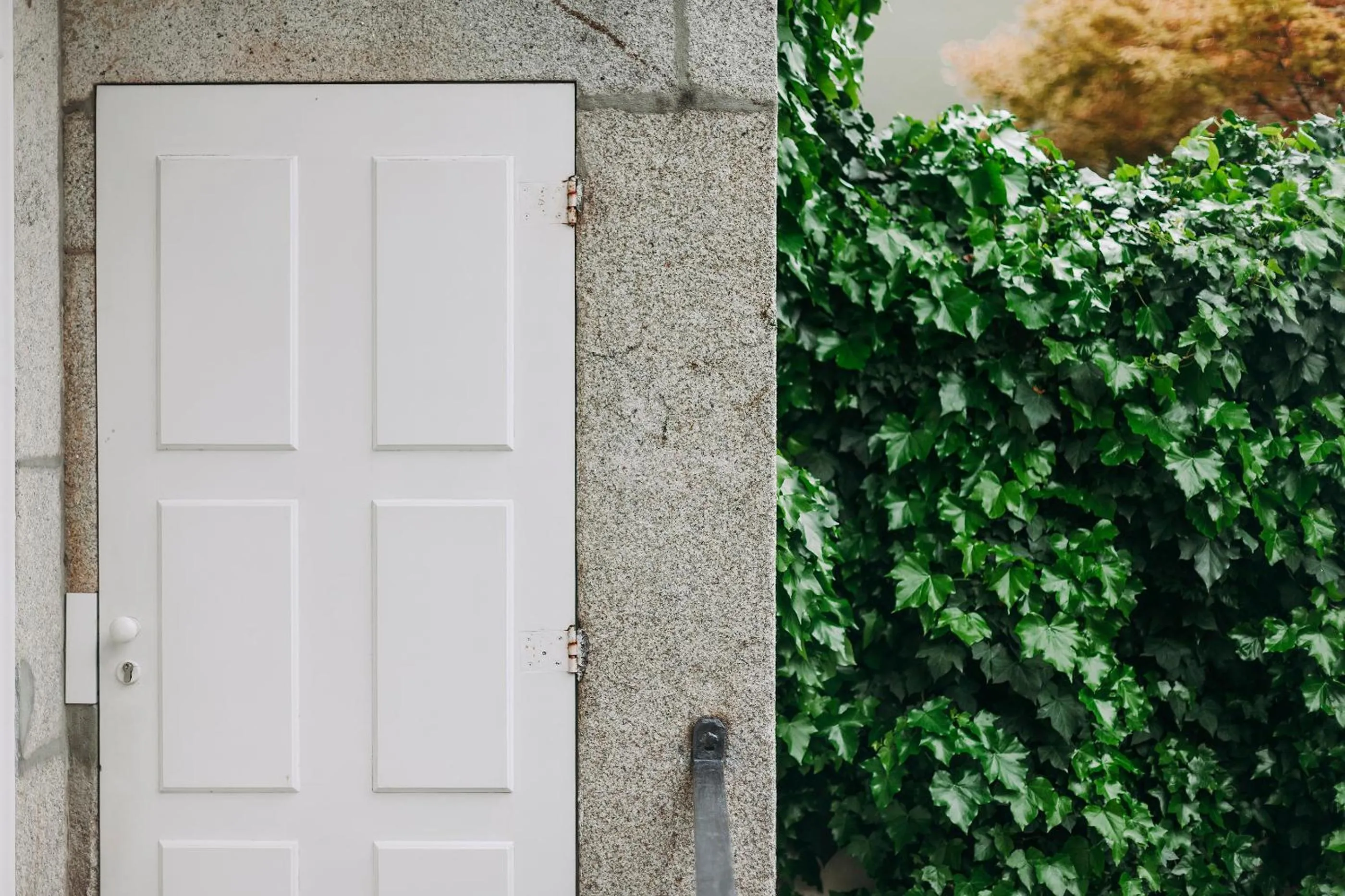 Garden in Rosa Et Al Townhouse