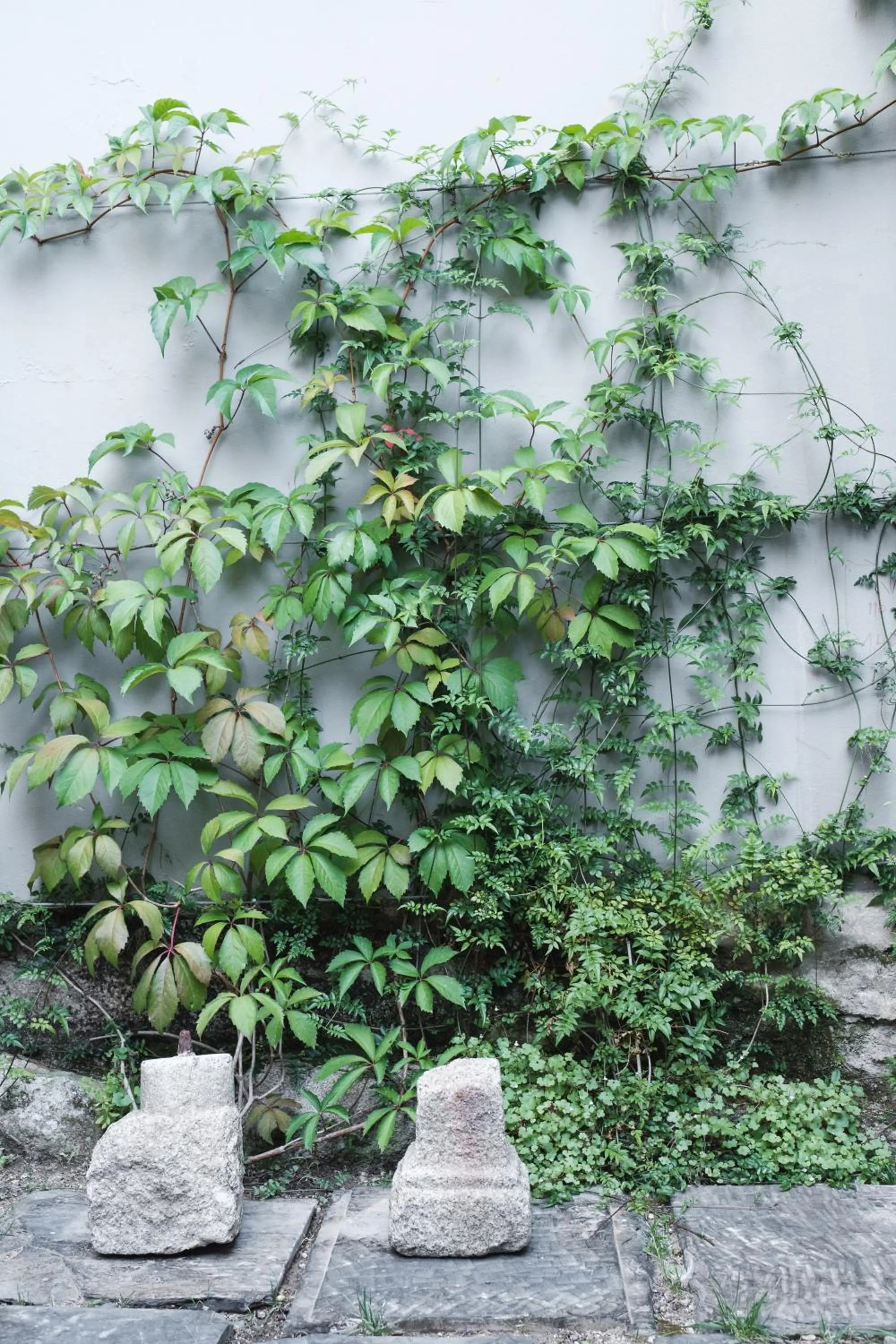 Patio in Rosa Et Al Townhouse
