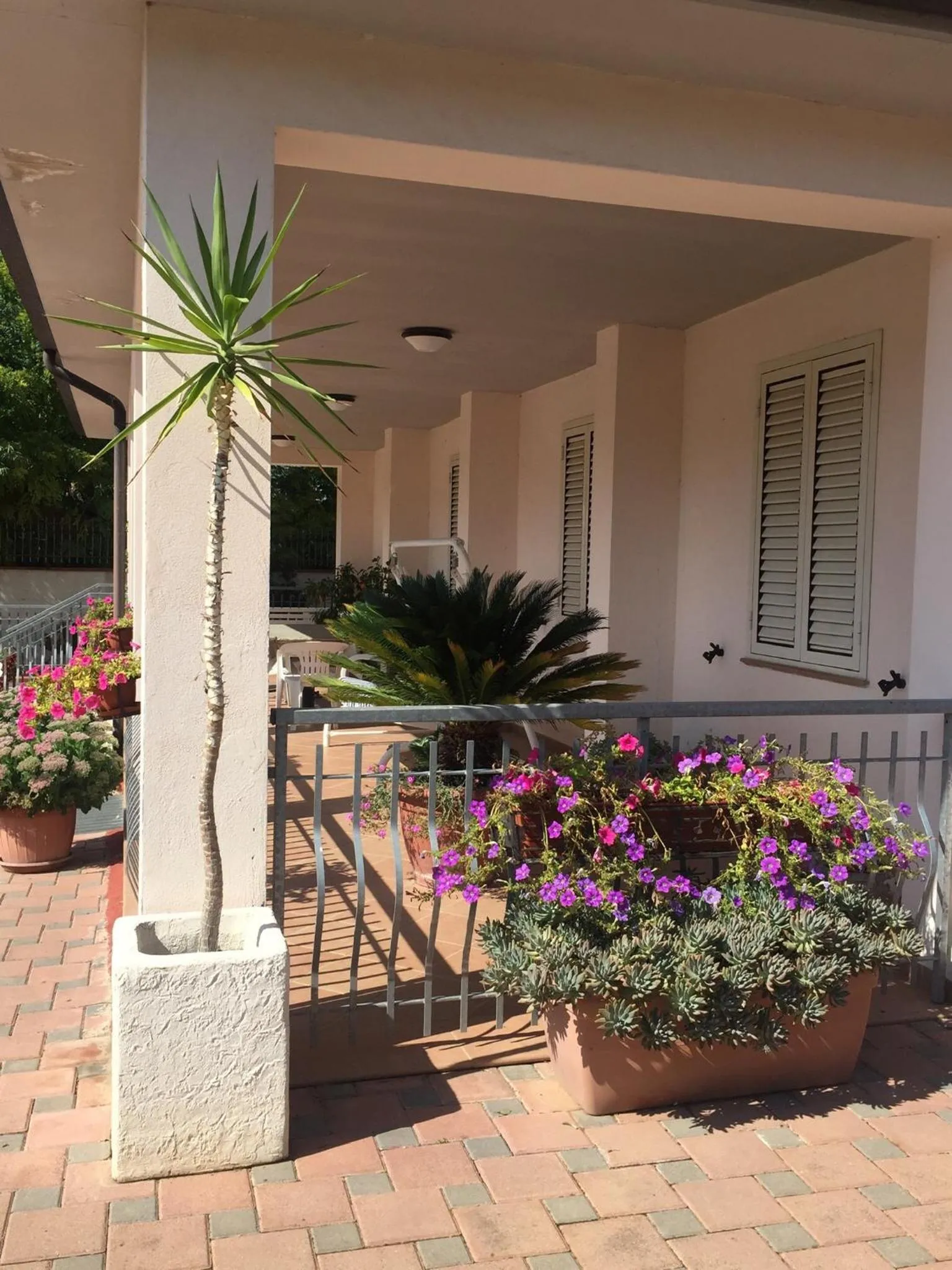 Balcony/Terrace in mela__bii