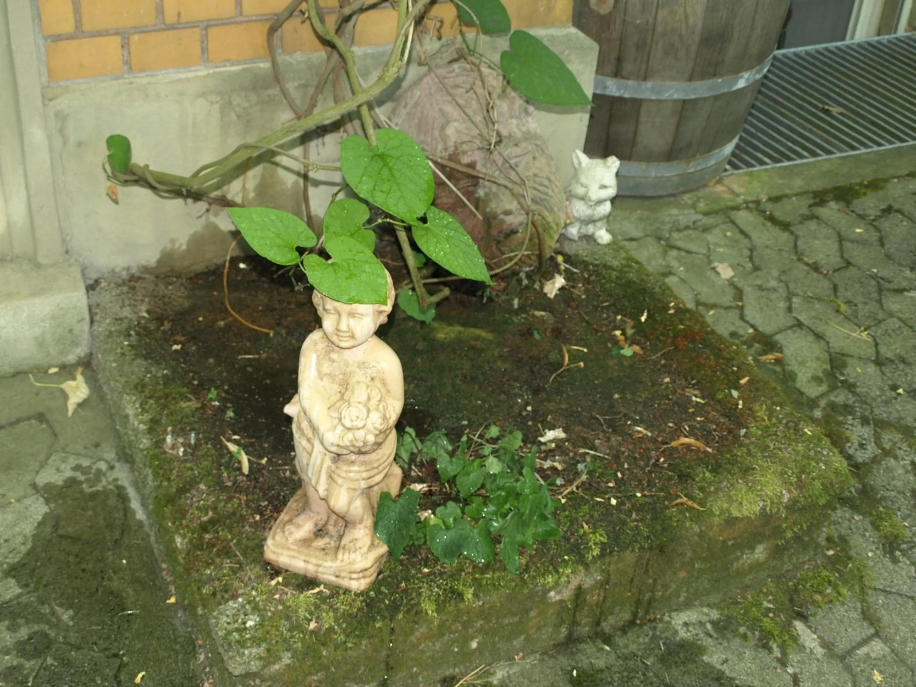 Property building in Hotel Villa Arnold