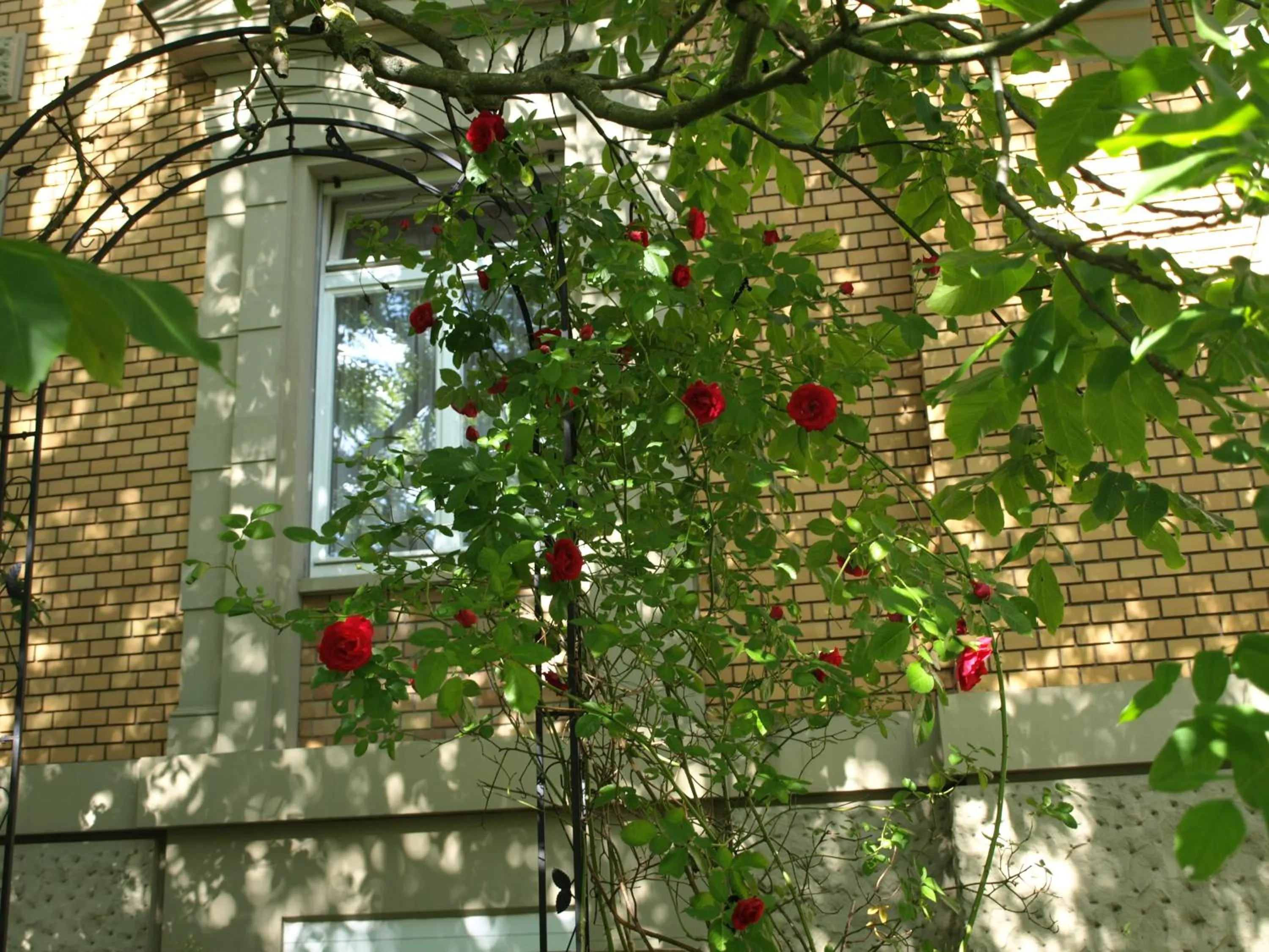 Garden in Hotel Villa Arnold