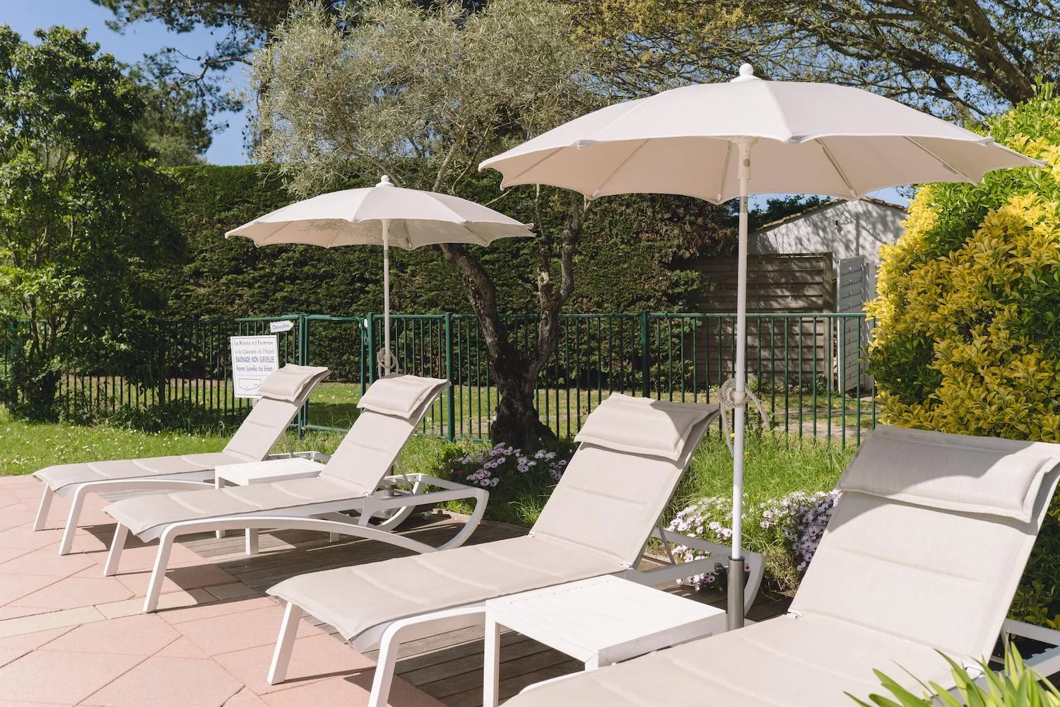 Garden in Fleur de Sel