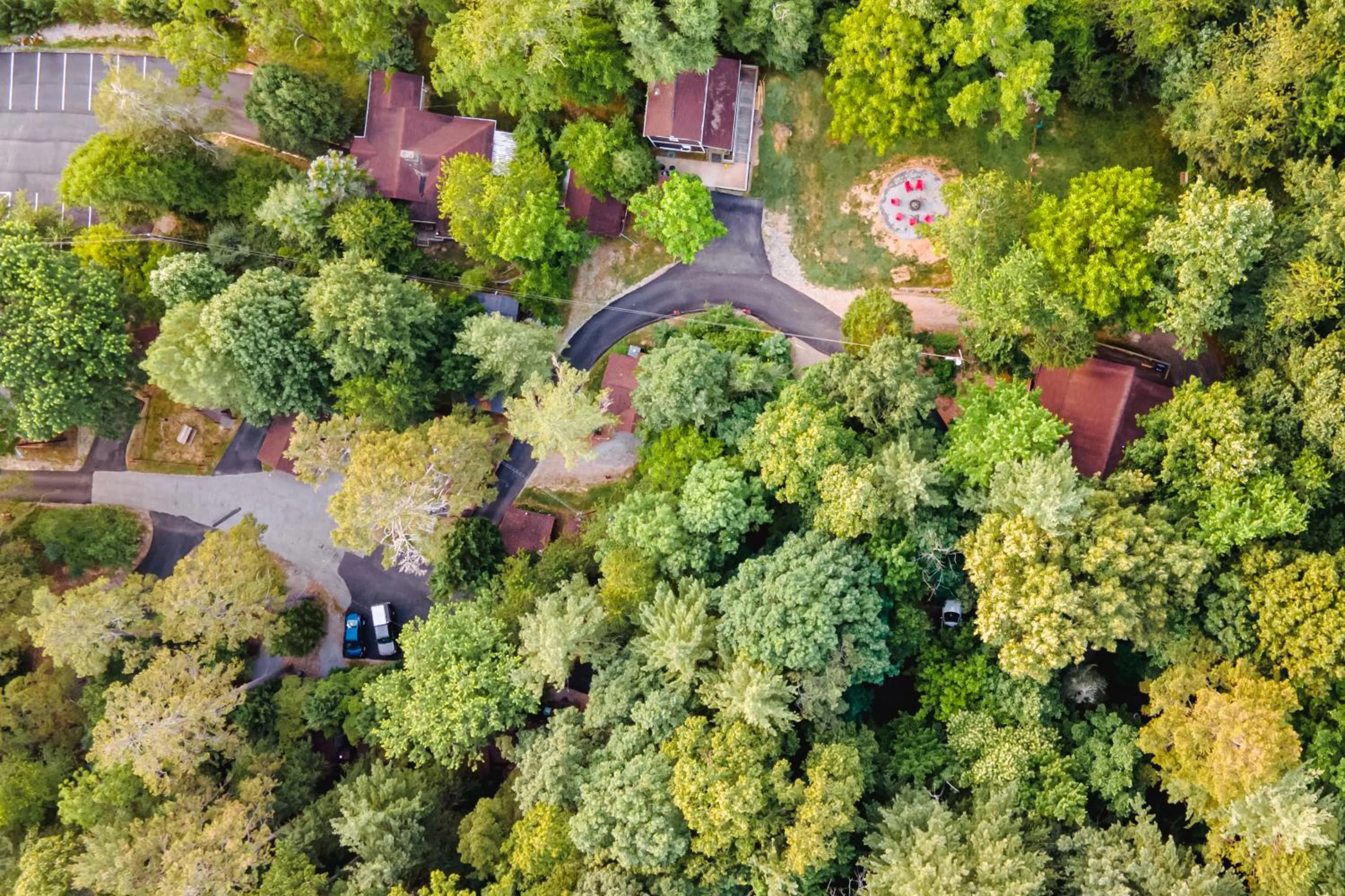 Bird's eye view in Log Cabin Motor Court