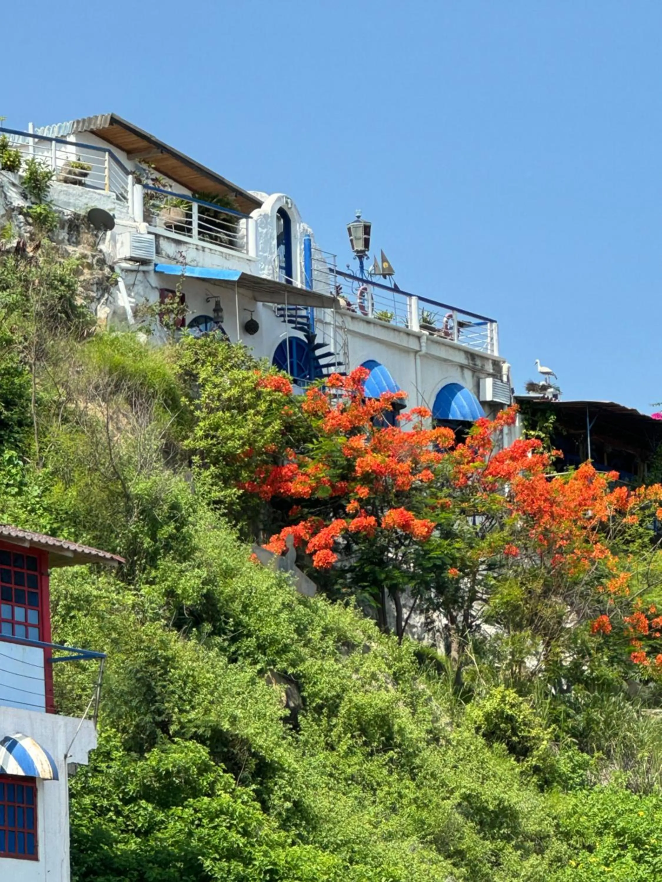 Hosteria Farallon Dillon