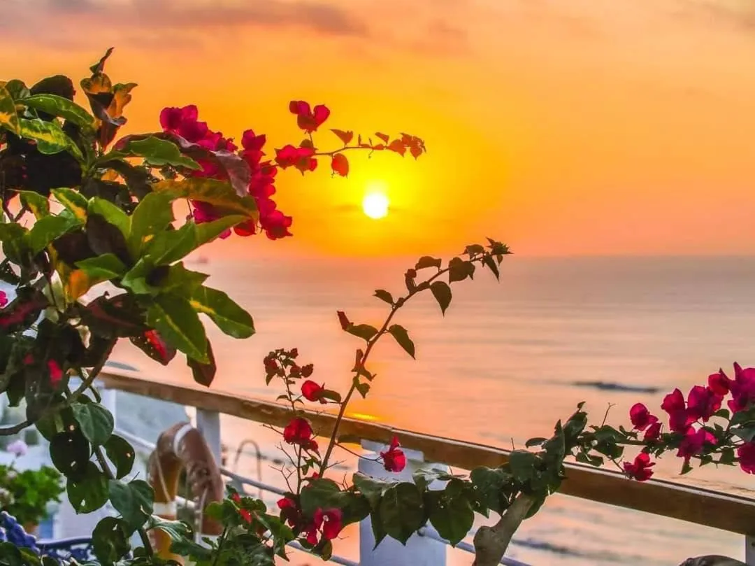 Natural landscape in Hosteria Farallon Dillon