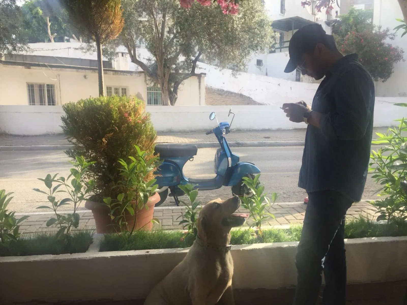 Camlikosk Apart Hotel