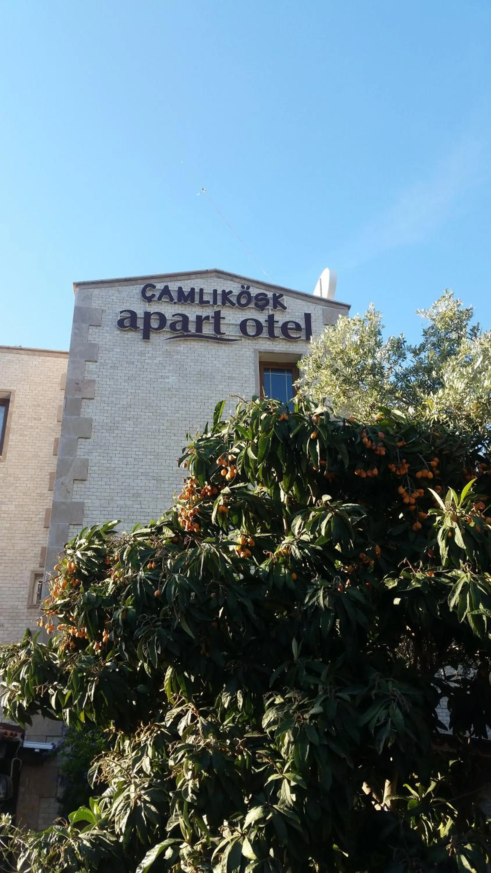 Toilet in Camlikosk Apart Hotel