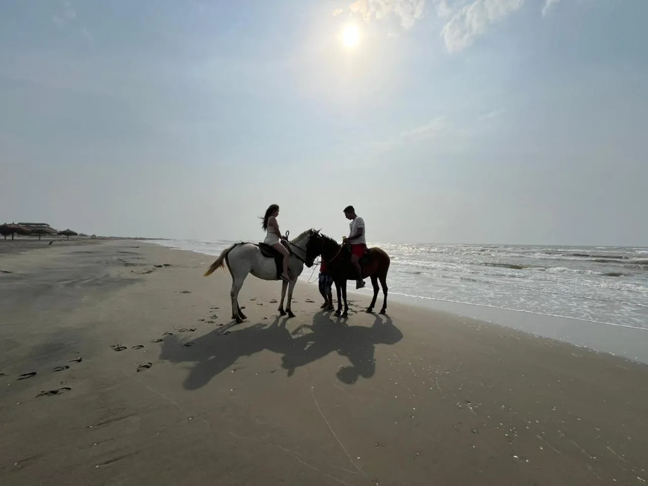 Horse-riding in Hotel Arena Beach Cartagena