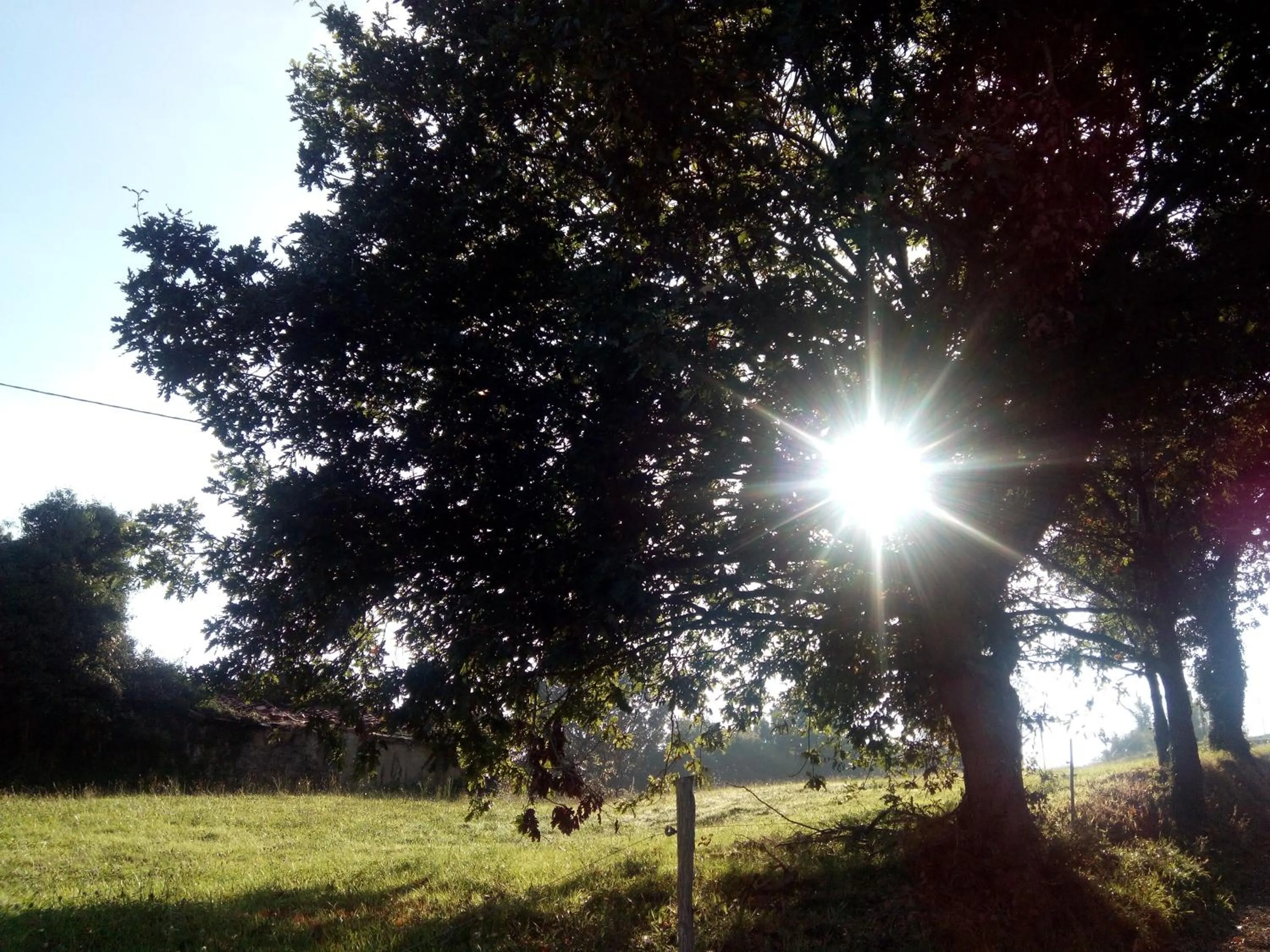 Activities in Posada La Cotía