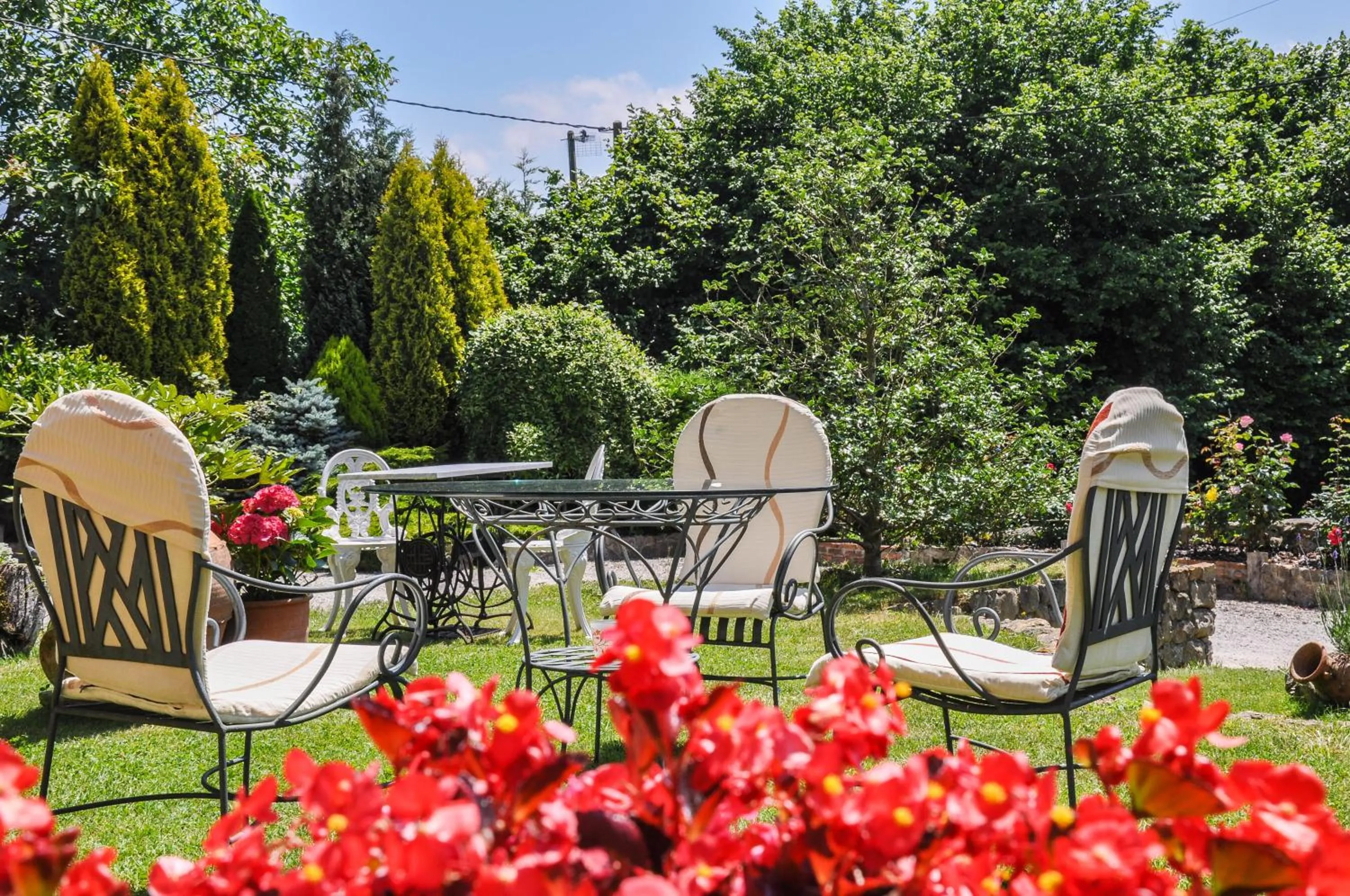 Garden in Posada La Cotía