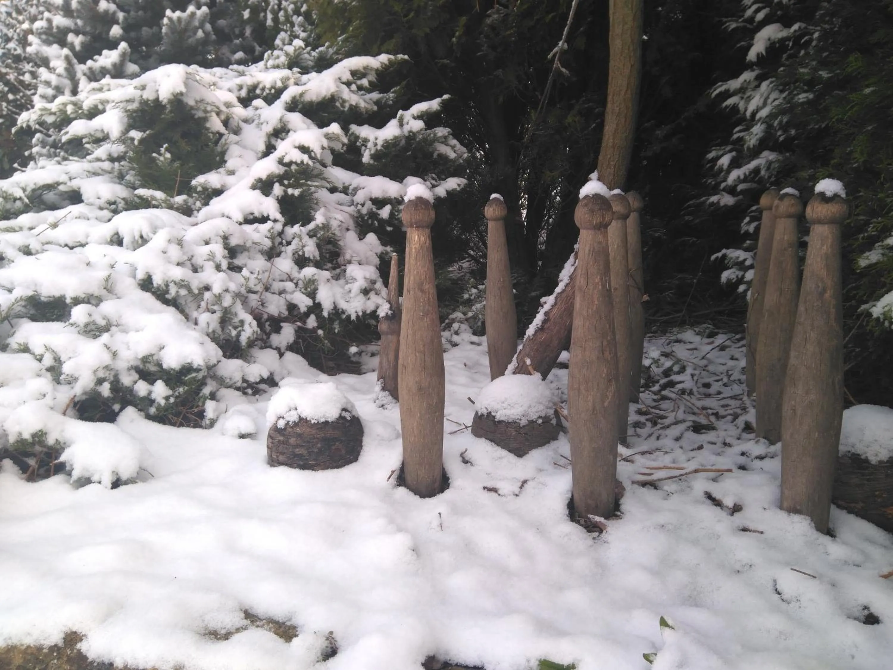 Garden in Posada La Cotía