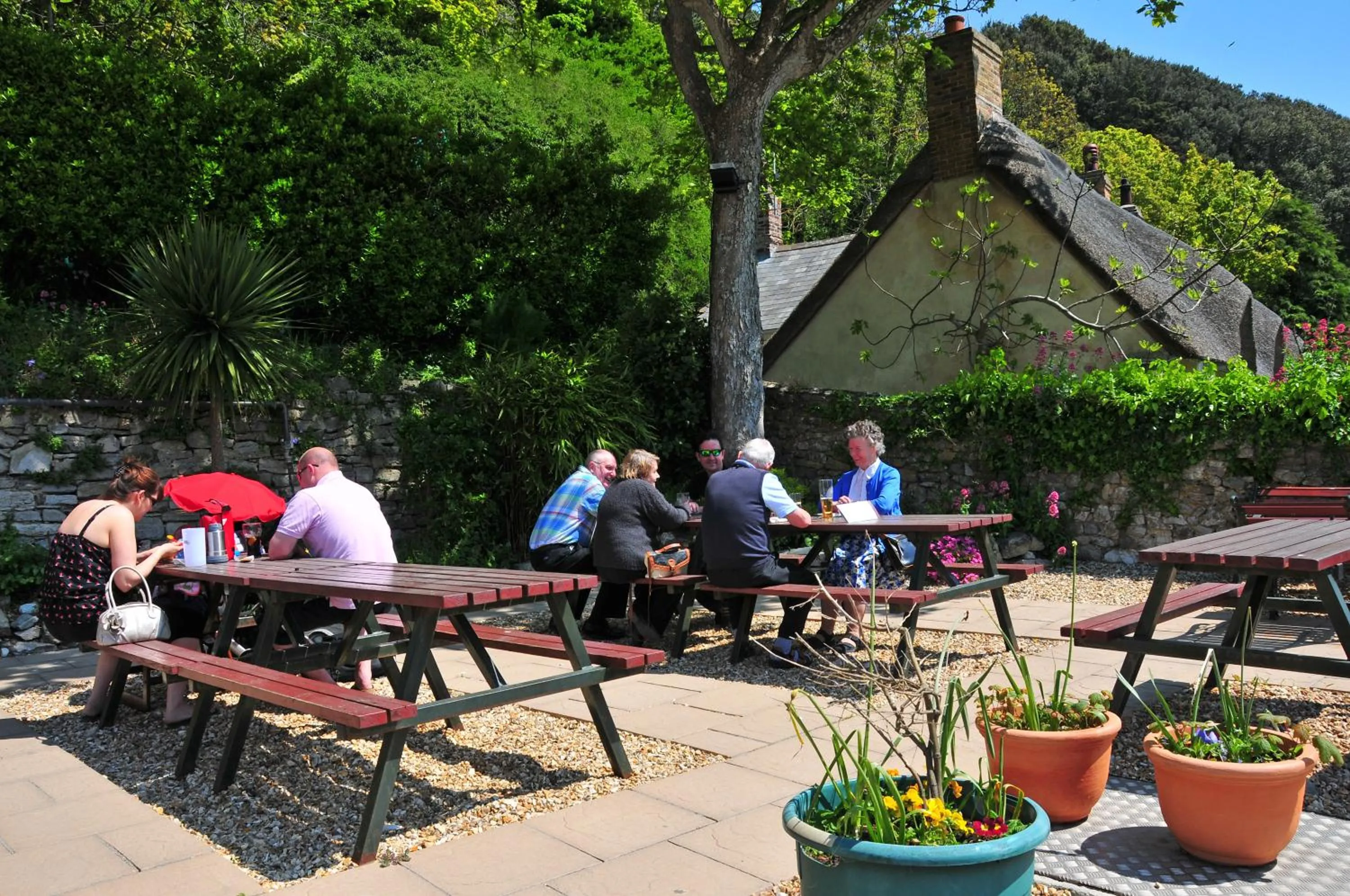 Restaurant/places to eat in Lulworth Cove Inn