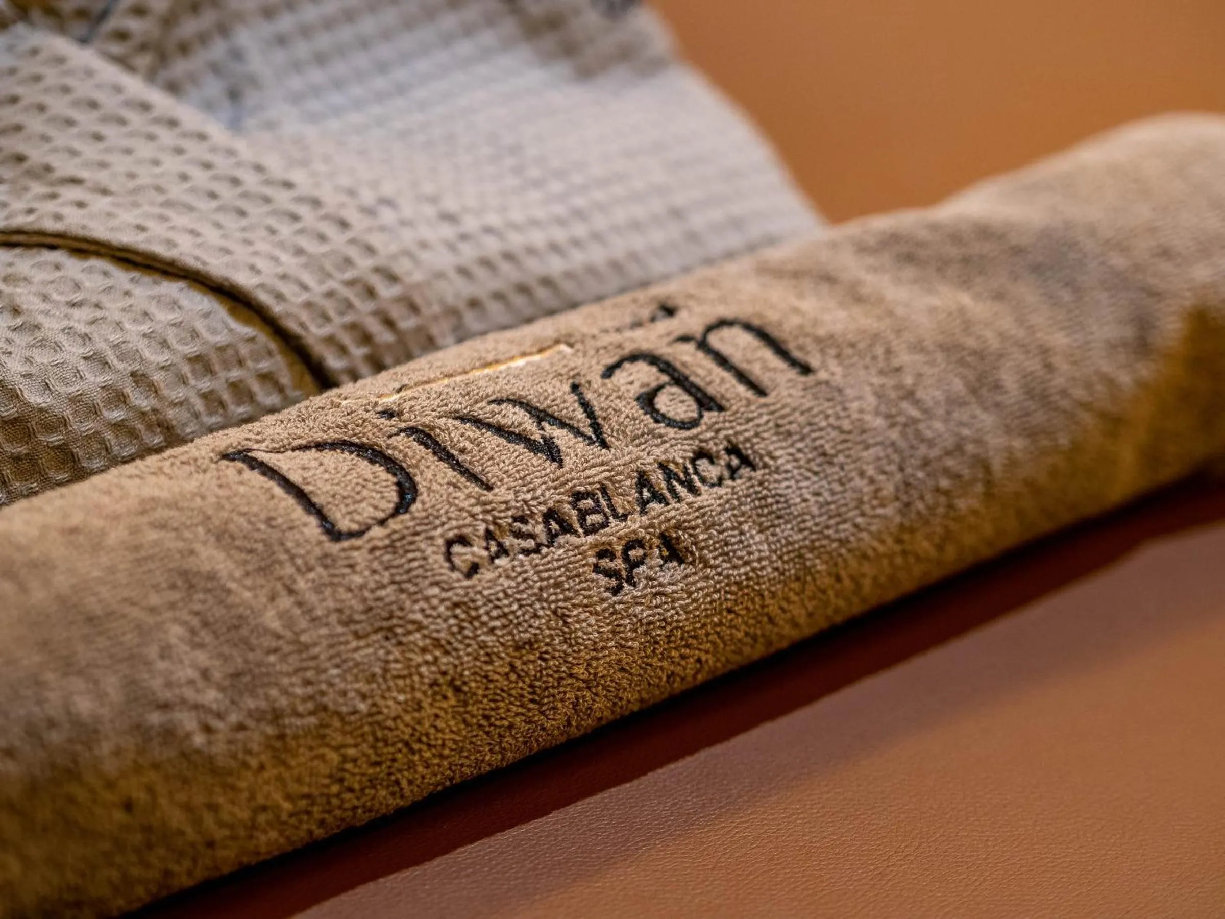 Property logo or sign in Diwan Casablanca Hotel & Spa