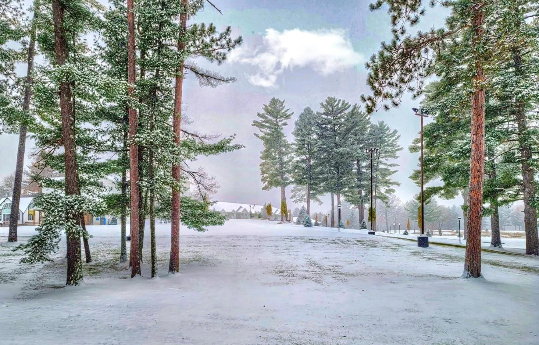 Property building in Four Seasons Island Resort