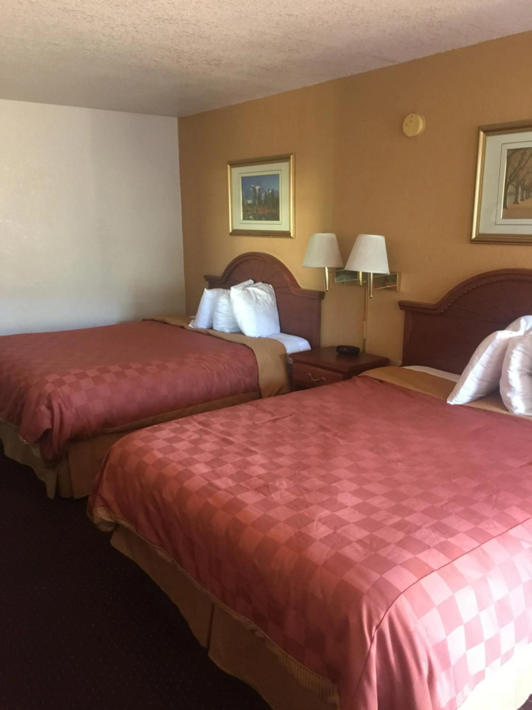Bed in Travel Inn & Suite