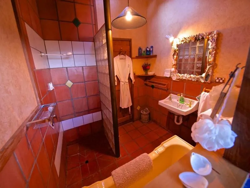 Bethells Beach Cottages