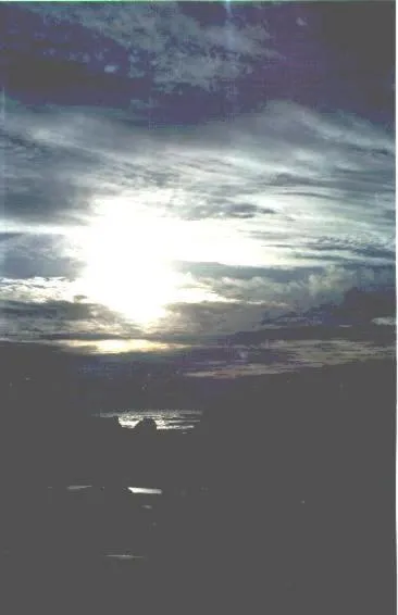 Natural landscape in Bethells Beach Cottages