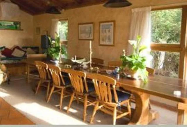 Day in Bethells Beach Cottages