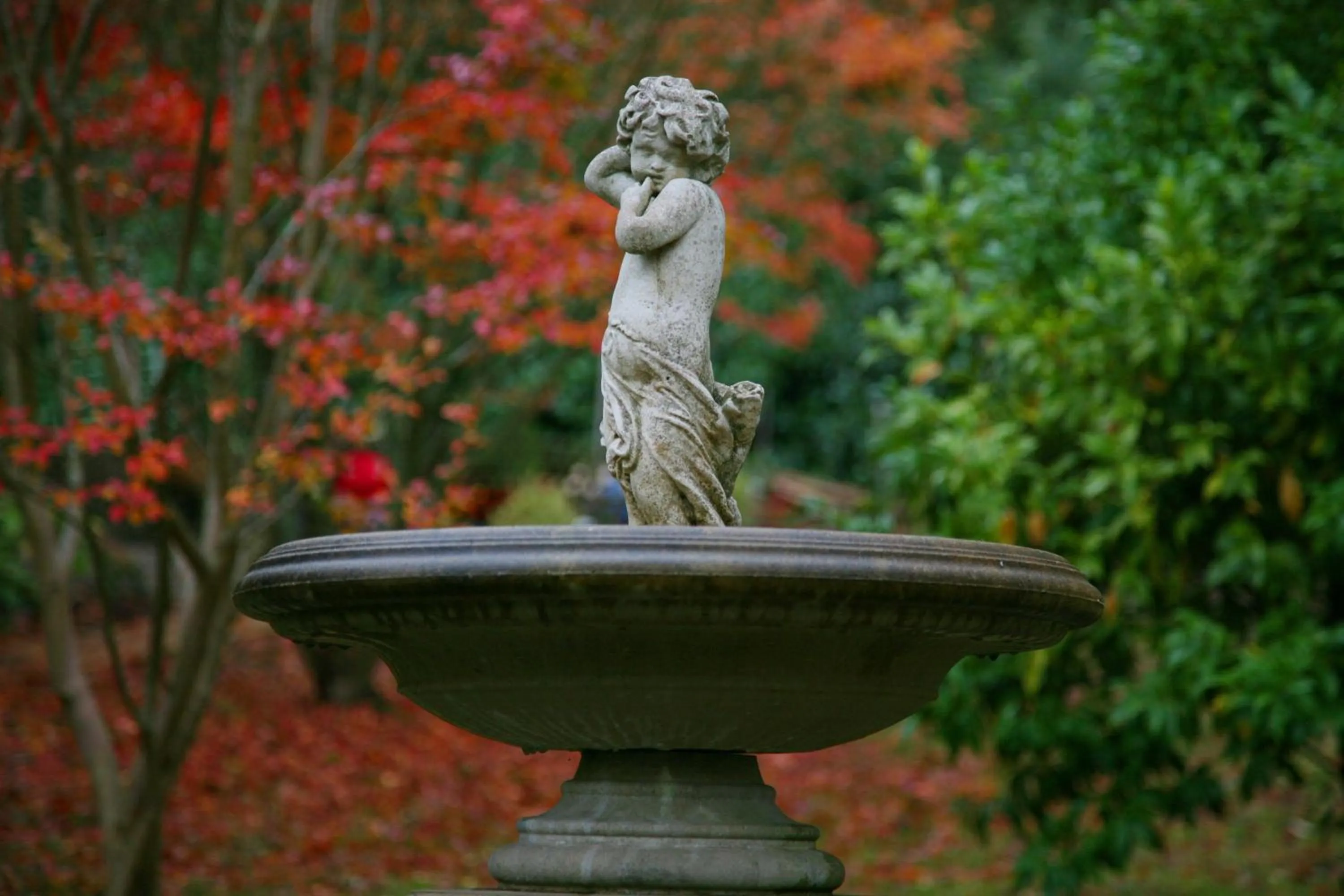 Garden in Glenview Retreat Luxury Accommodation