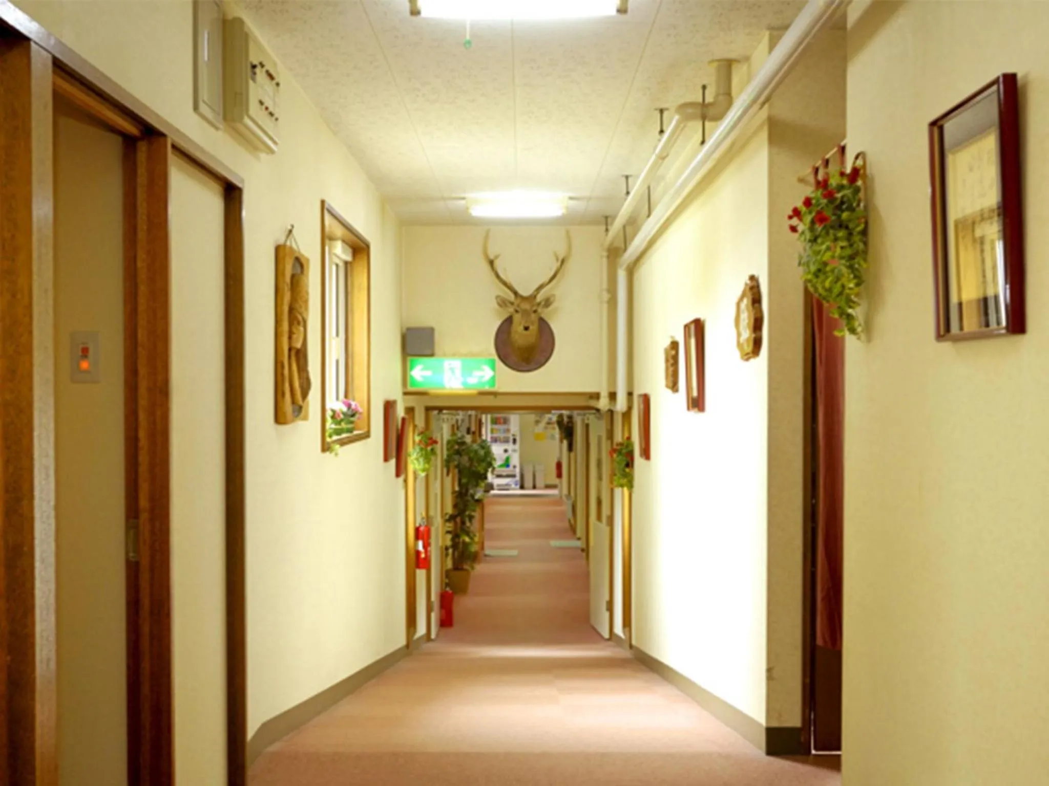 Other in Shiretoko Village