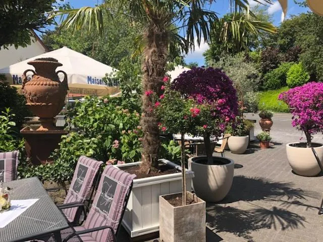 Patio in Hotel Gasthaus Appel Krug