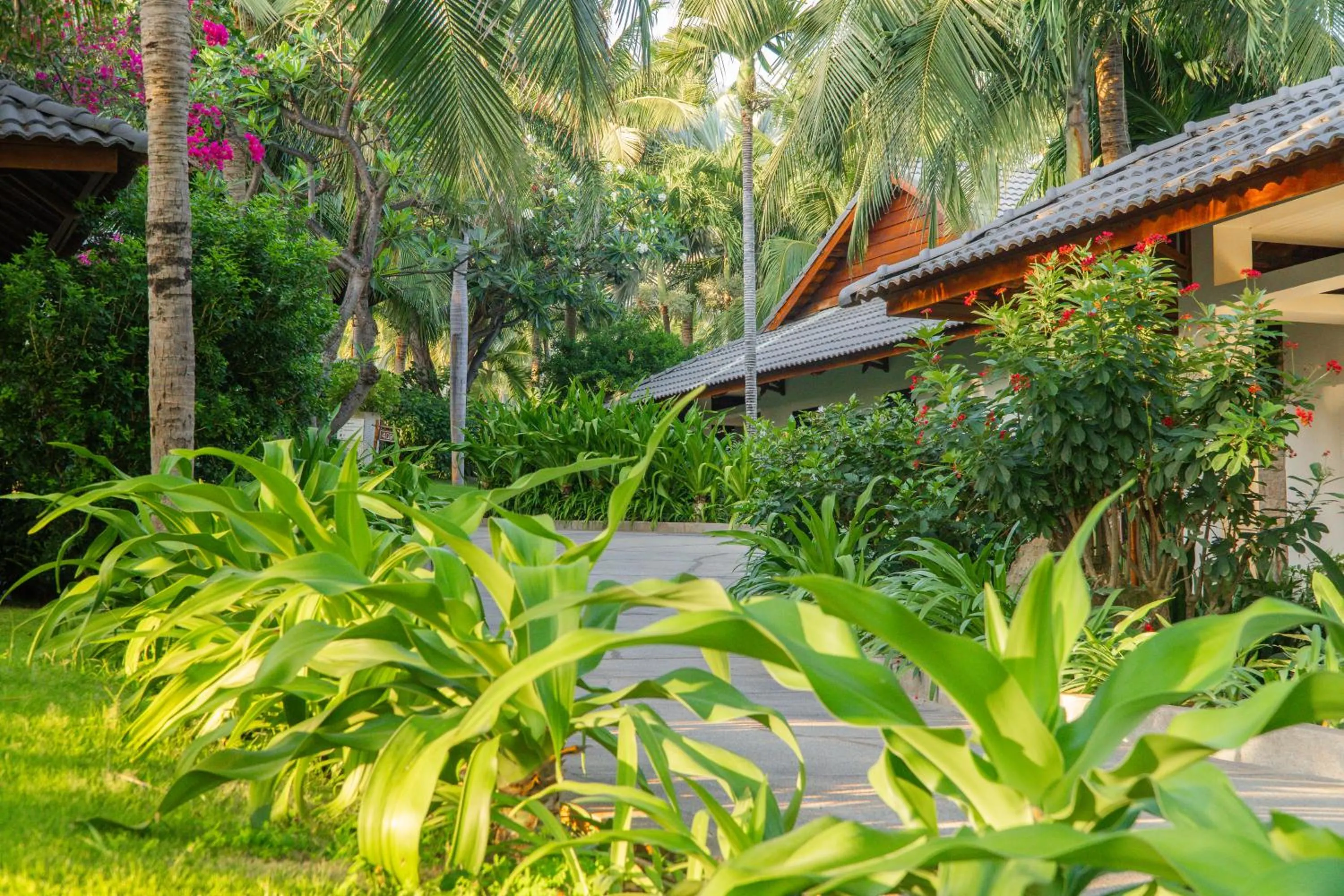 View (from property/room) in The Cliff Resort & Residences