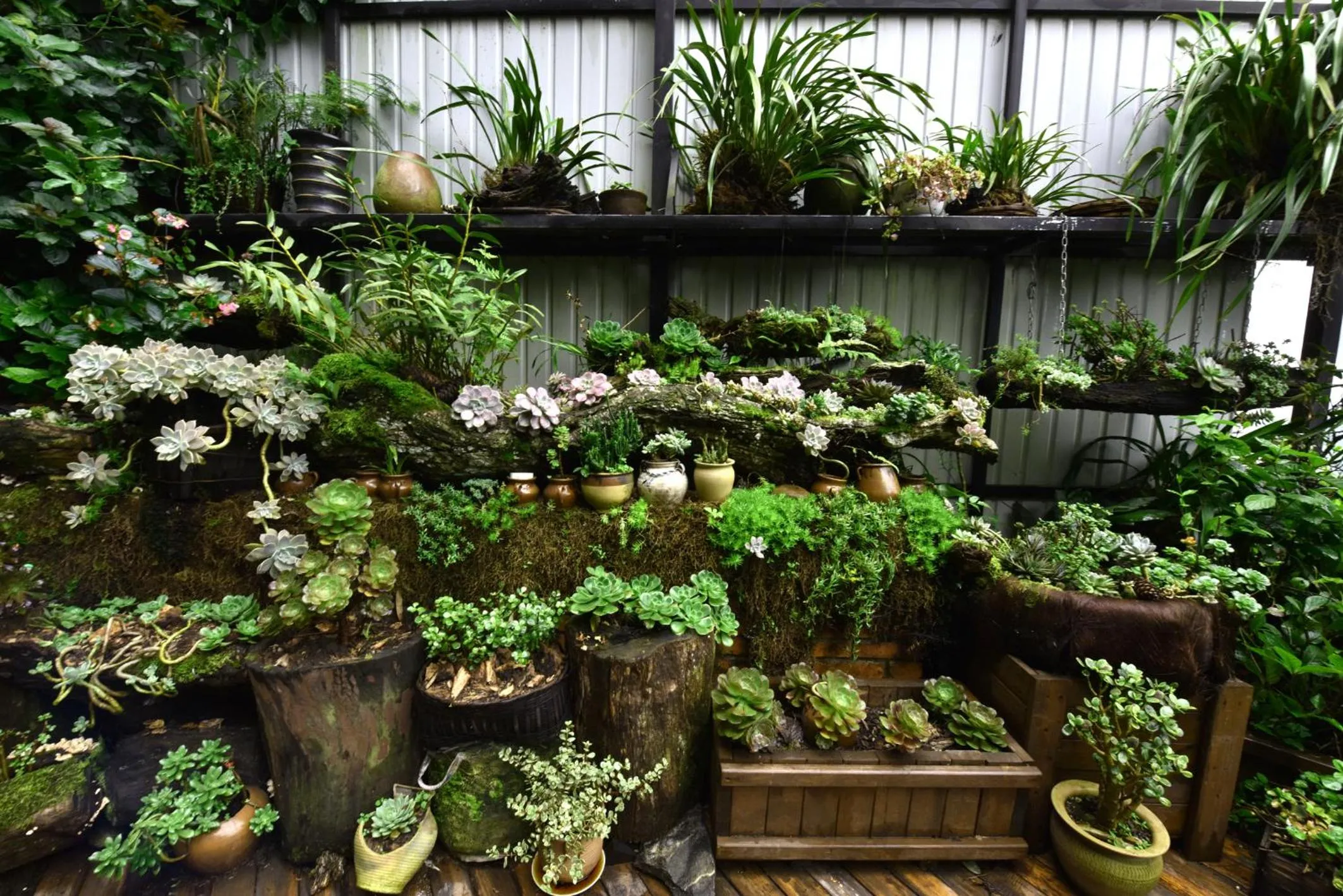 Inner courtyard view in Beyond The Cloud