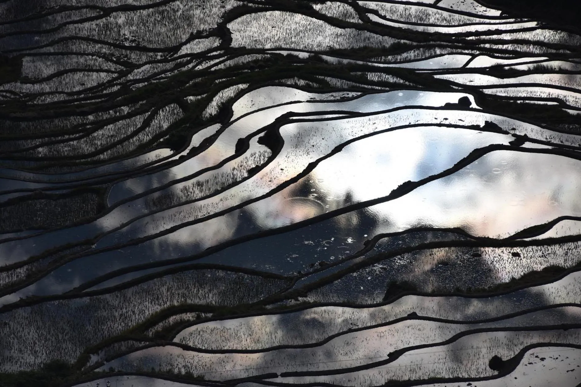 Natural landscape in Beyond The Cloud