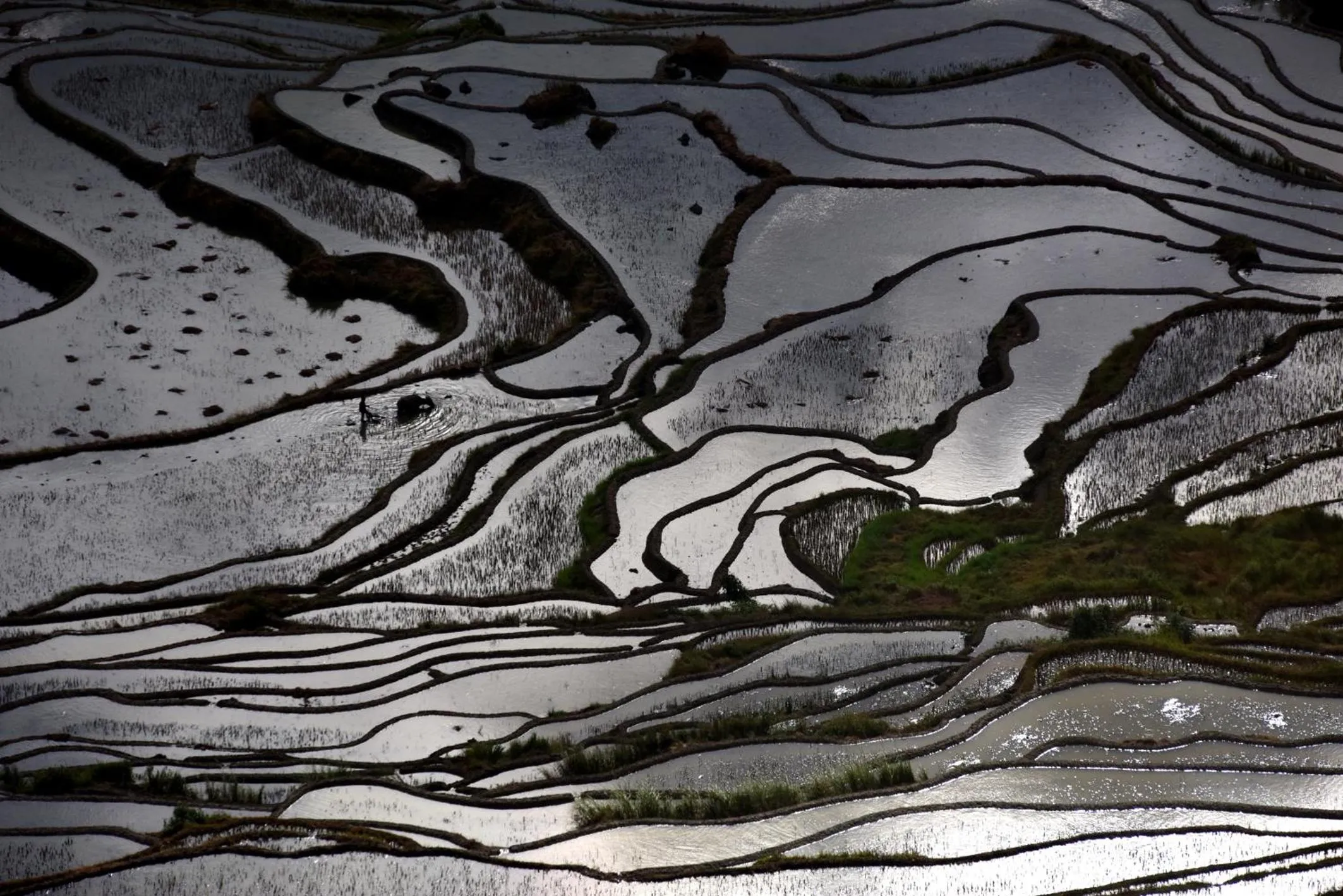 Natural landscape in Beyond The Cloud