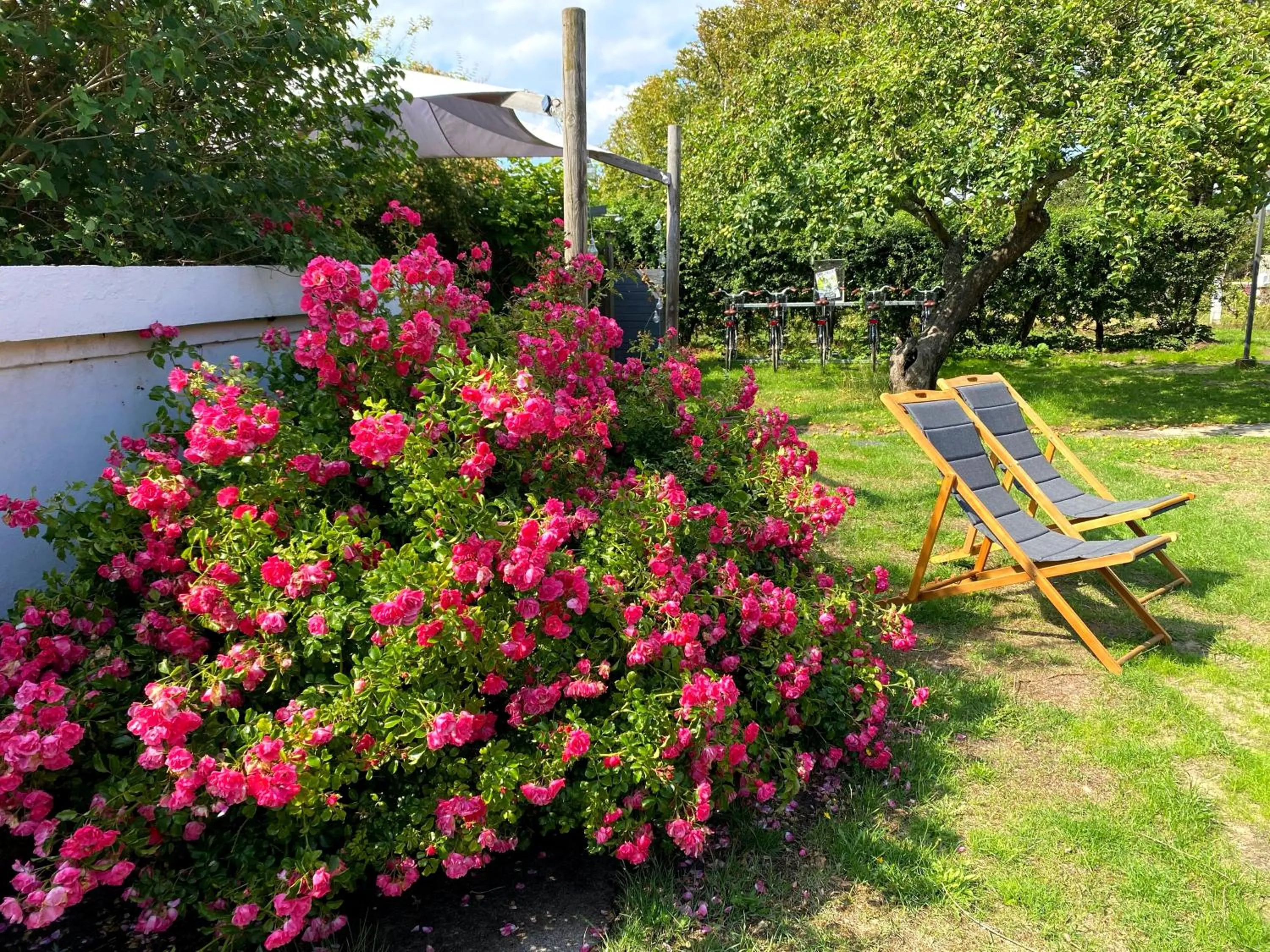 Garden in Liseleje Badehotel