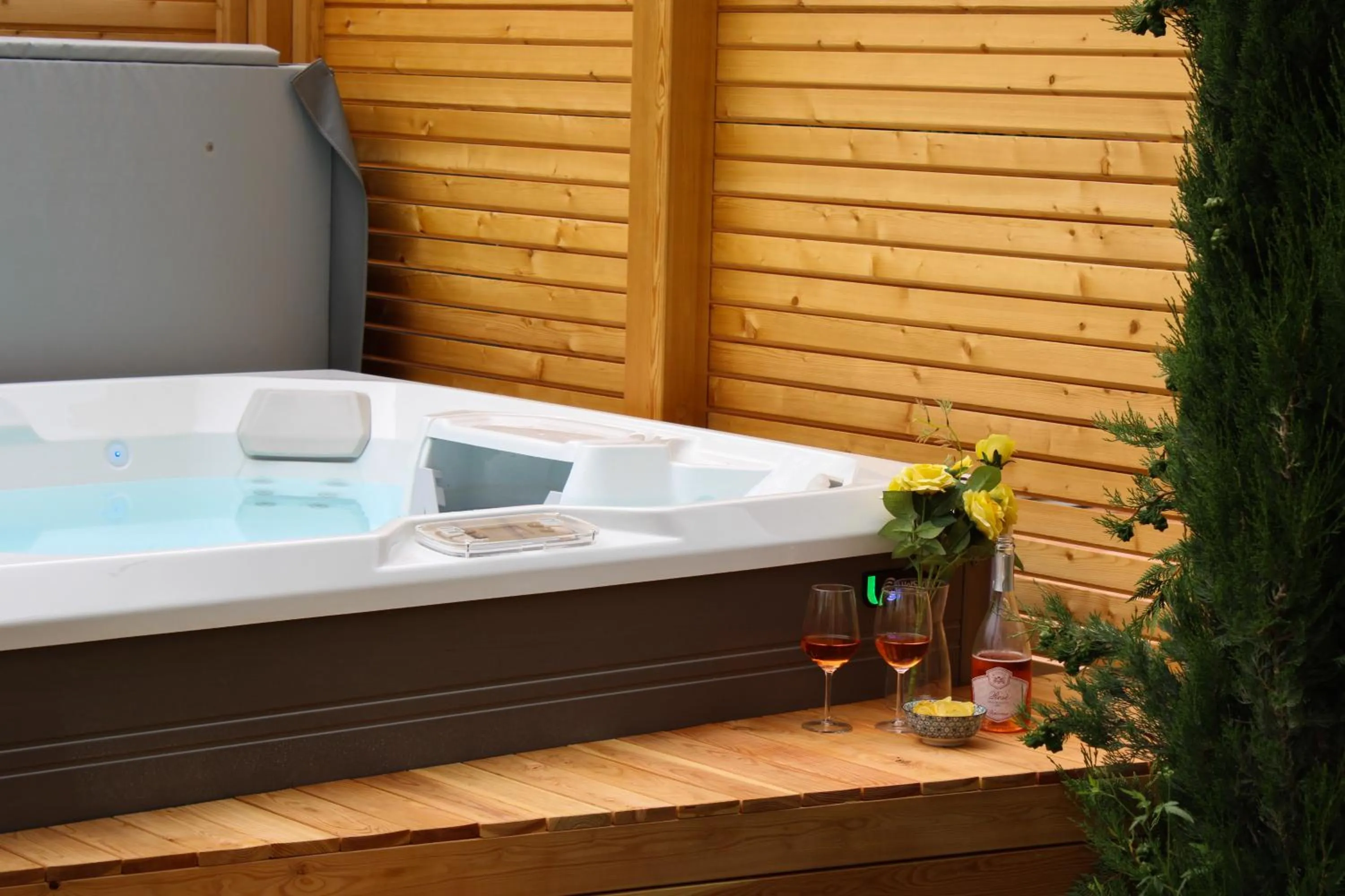 Decorative detail in B&B Villa Pelèr