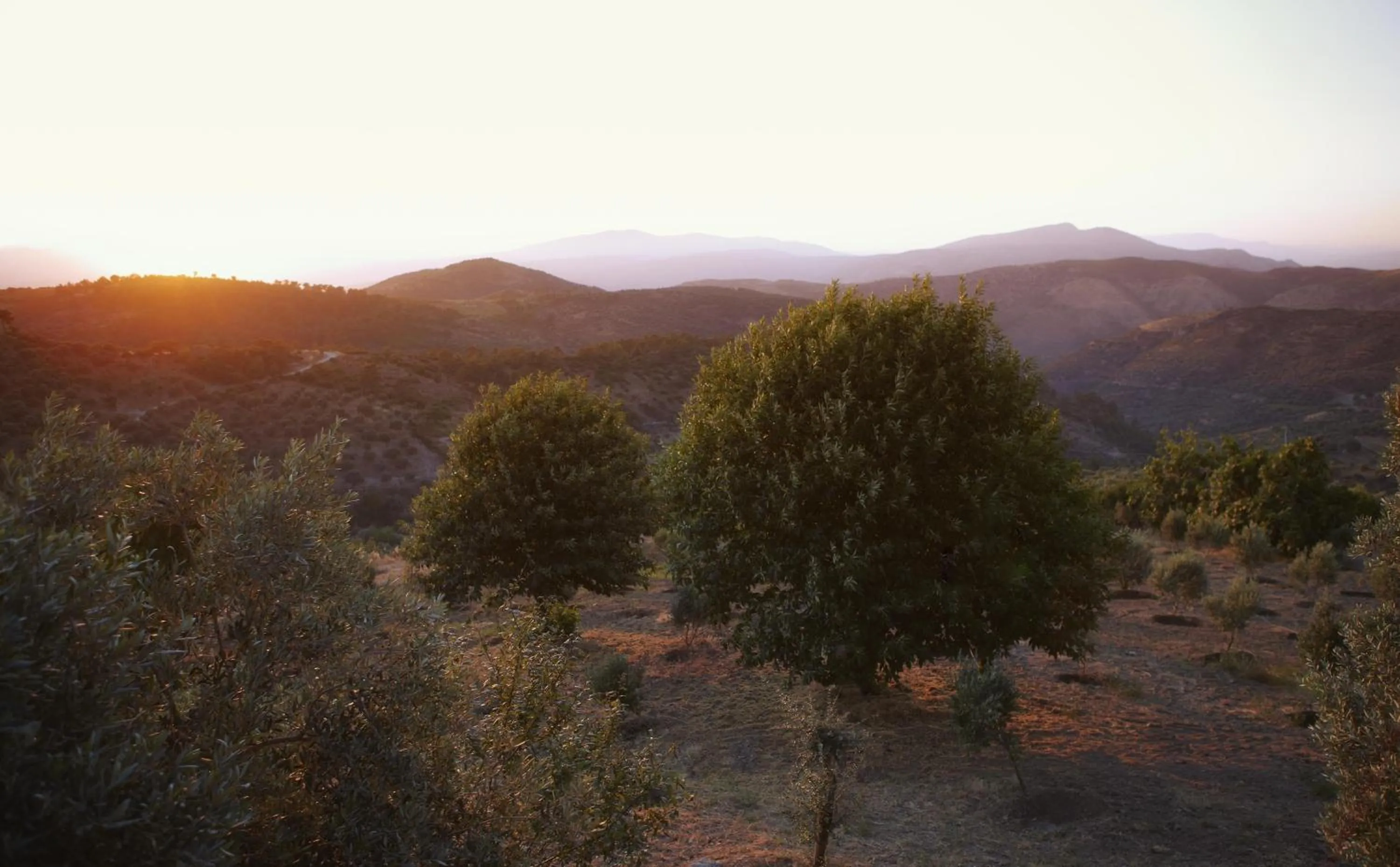 View (from property/room) in Gullu Konaklari